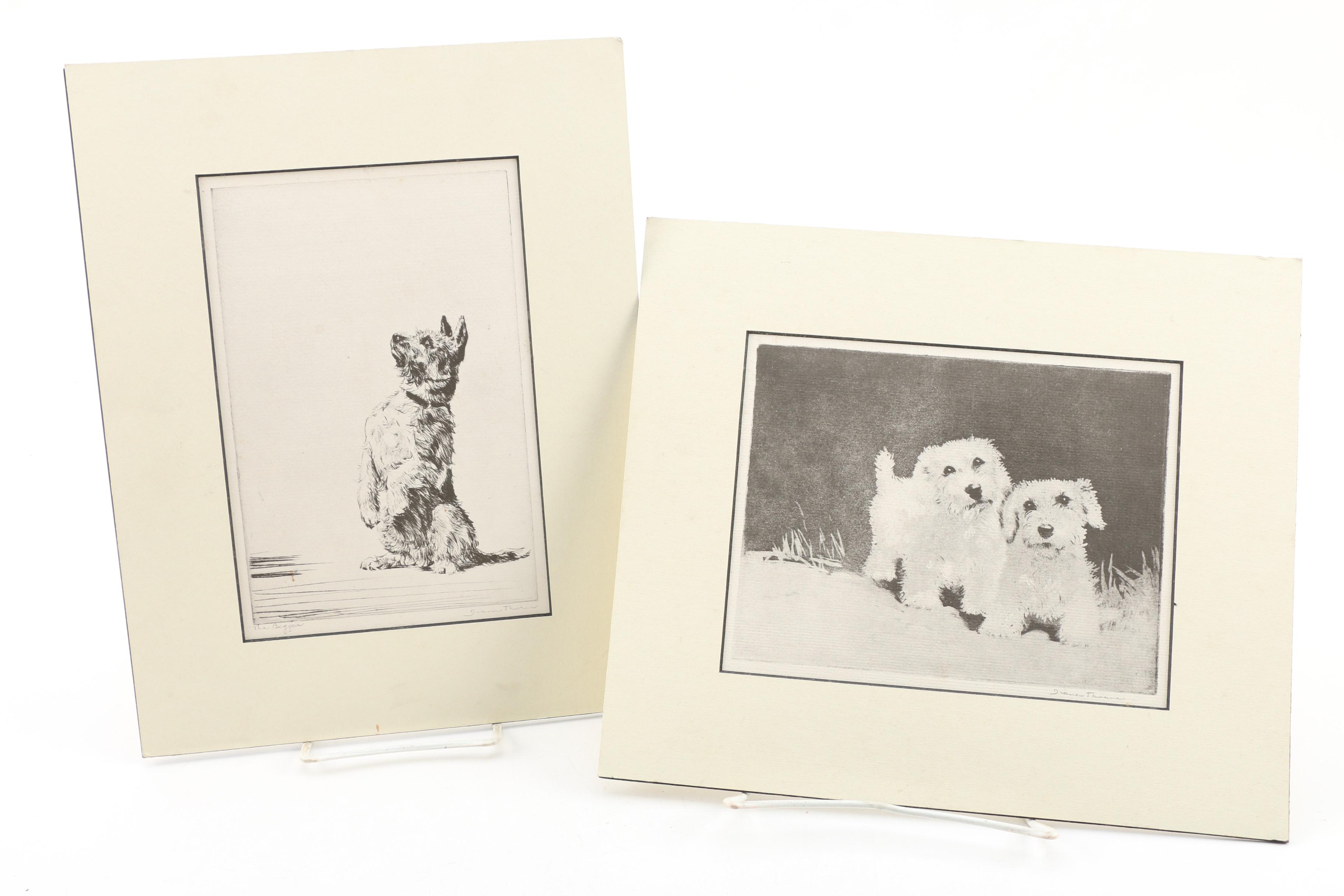 Dog Illustration Books and Art Including Lucy Dawson and Diana Thorne