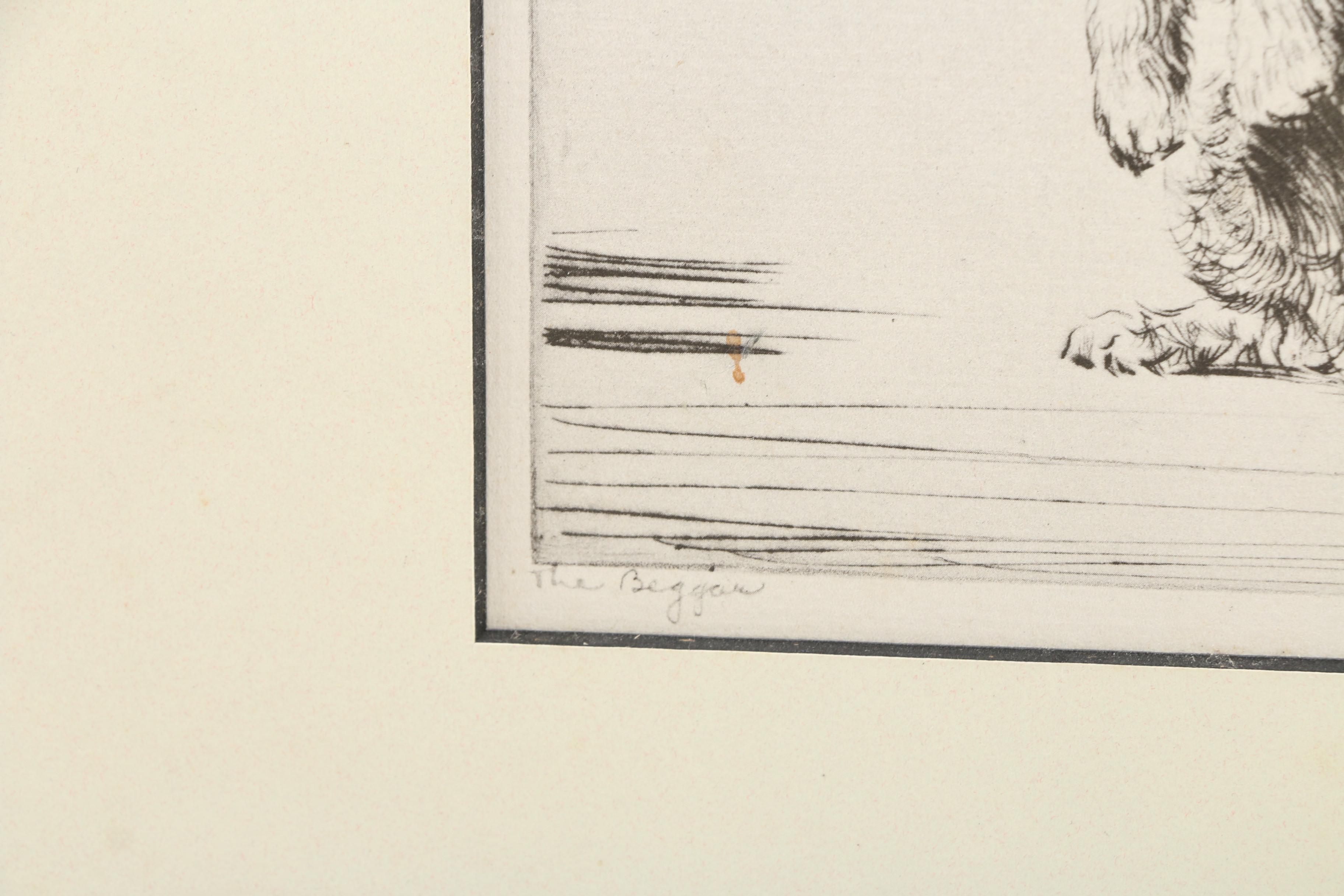 Dog Illustration Books and Art Including Lucy Dawson and Diana Thorne