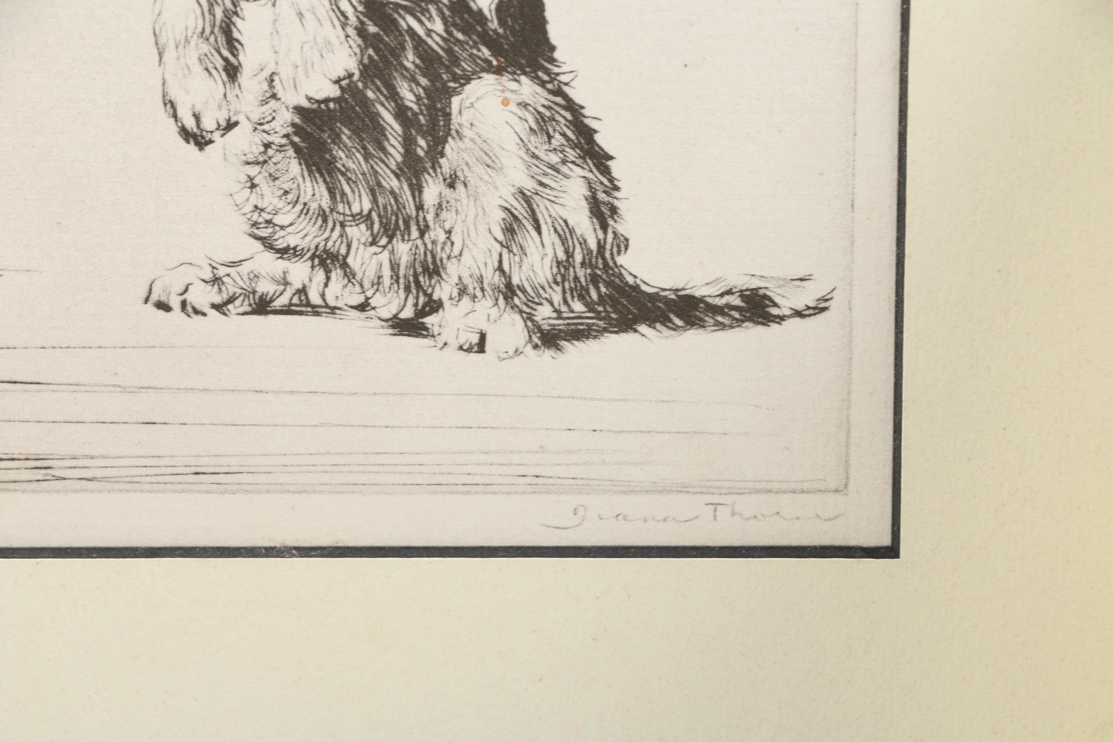 Dog Illustration Books and Art Including Lucy Dawson and Diana Thorne