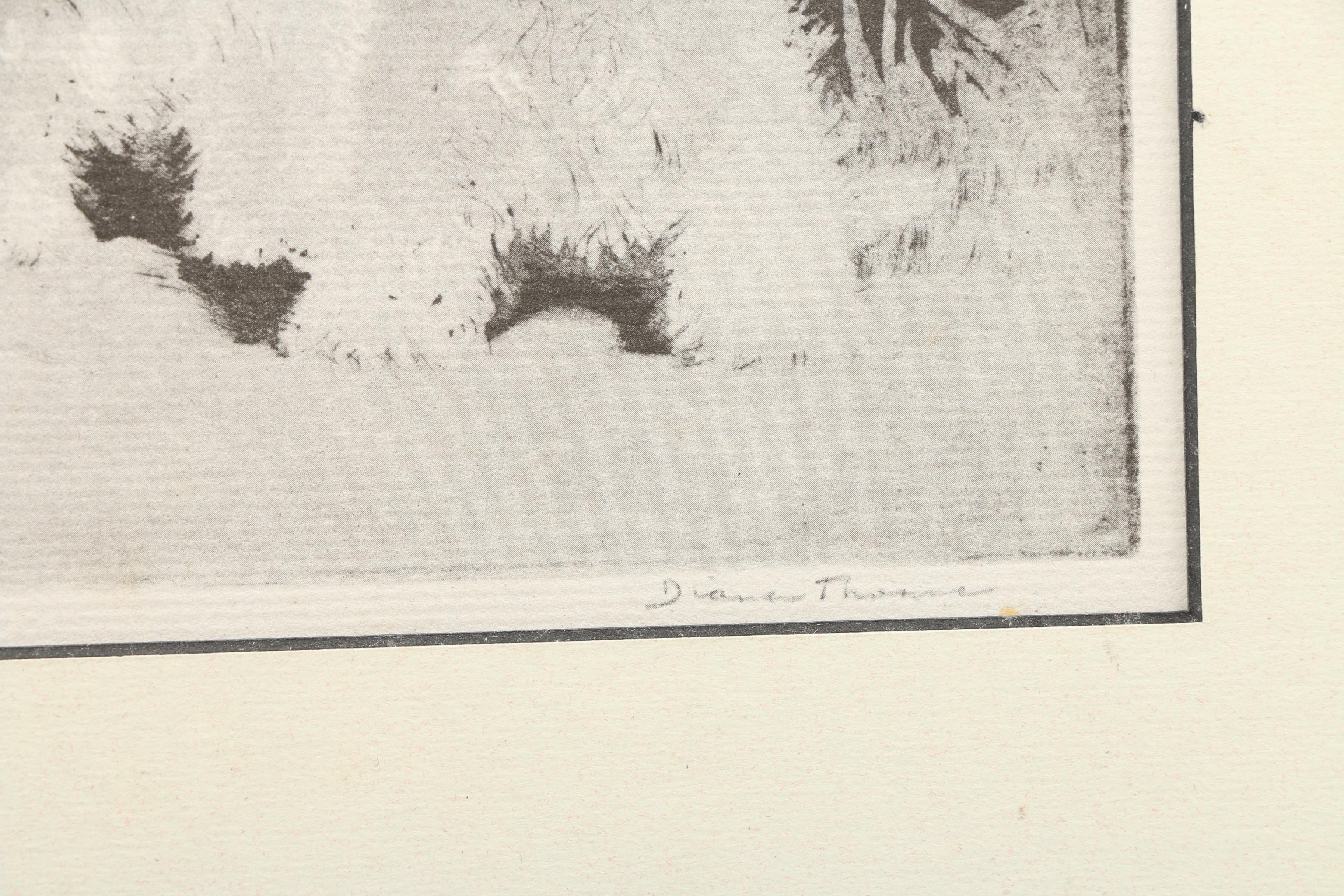 Dog Illustration Books and Art Including Lucy Dawson and Diana Thorne