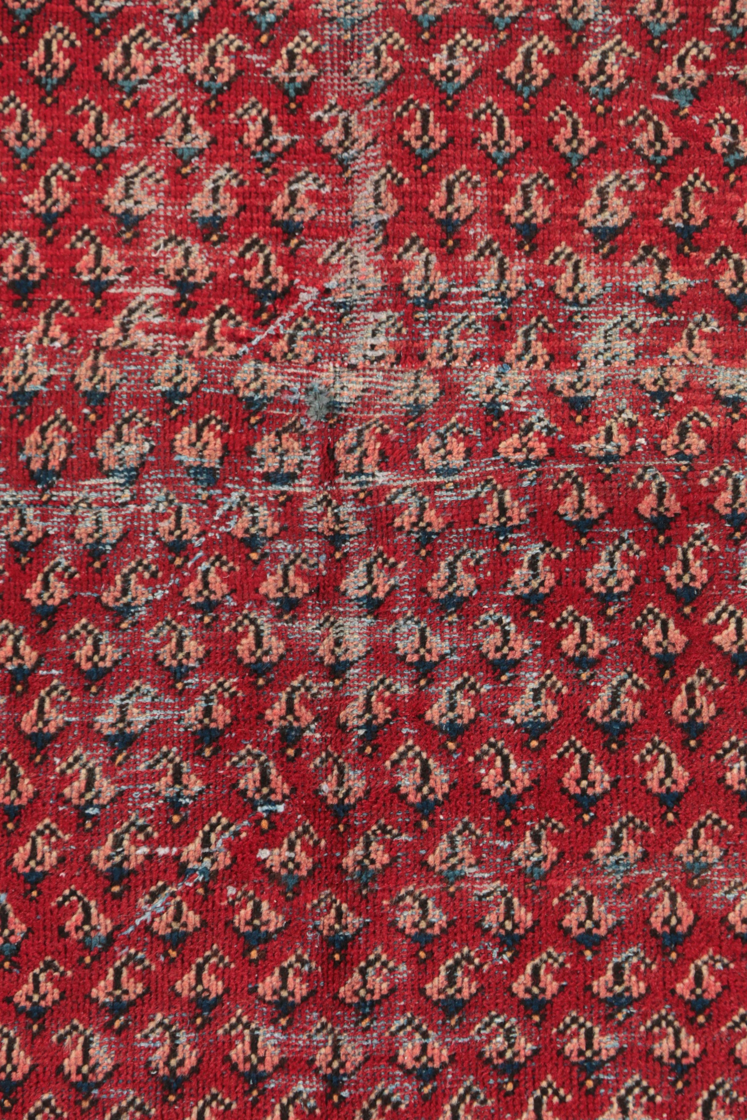 Hand-Knotted Persian Everu Wool Rug