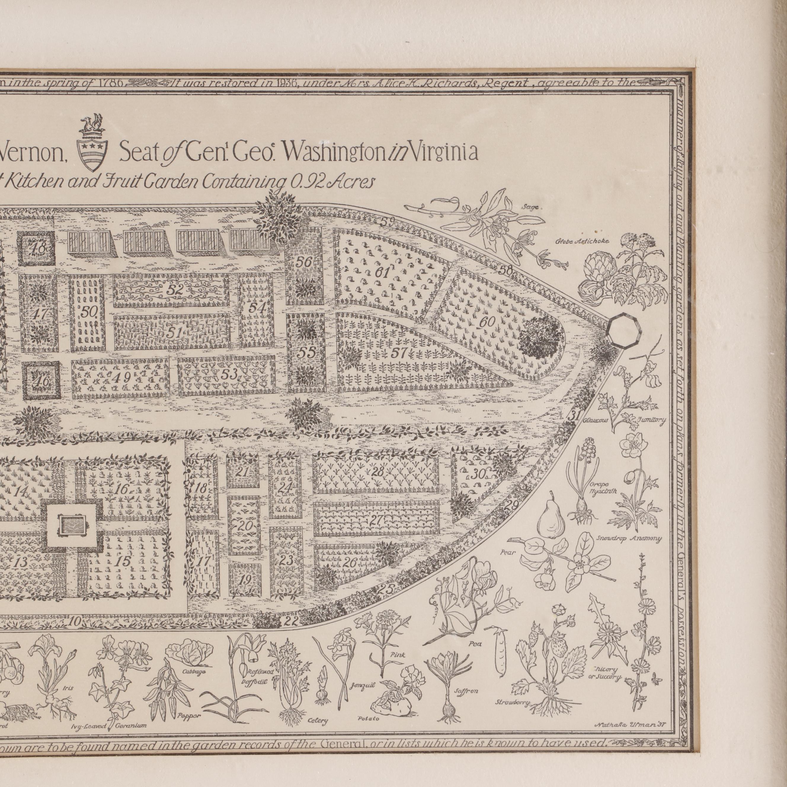 Lithograph after Nathalia Ulman "The Kitchen Garden of Mount Vernon"