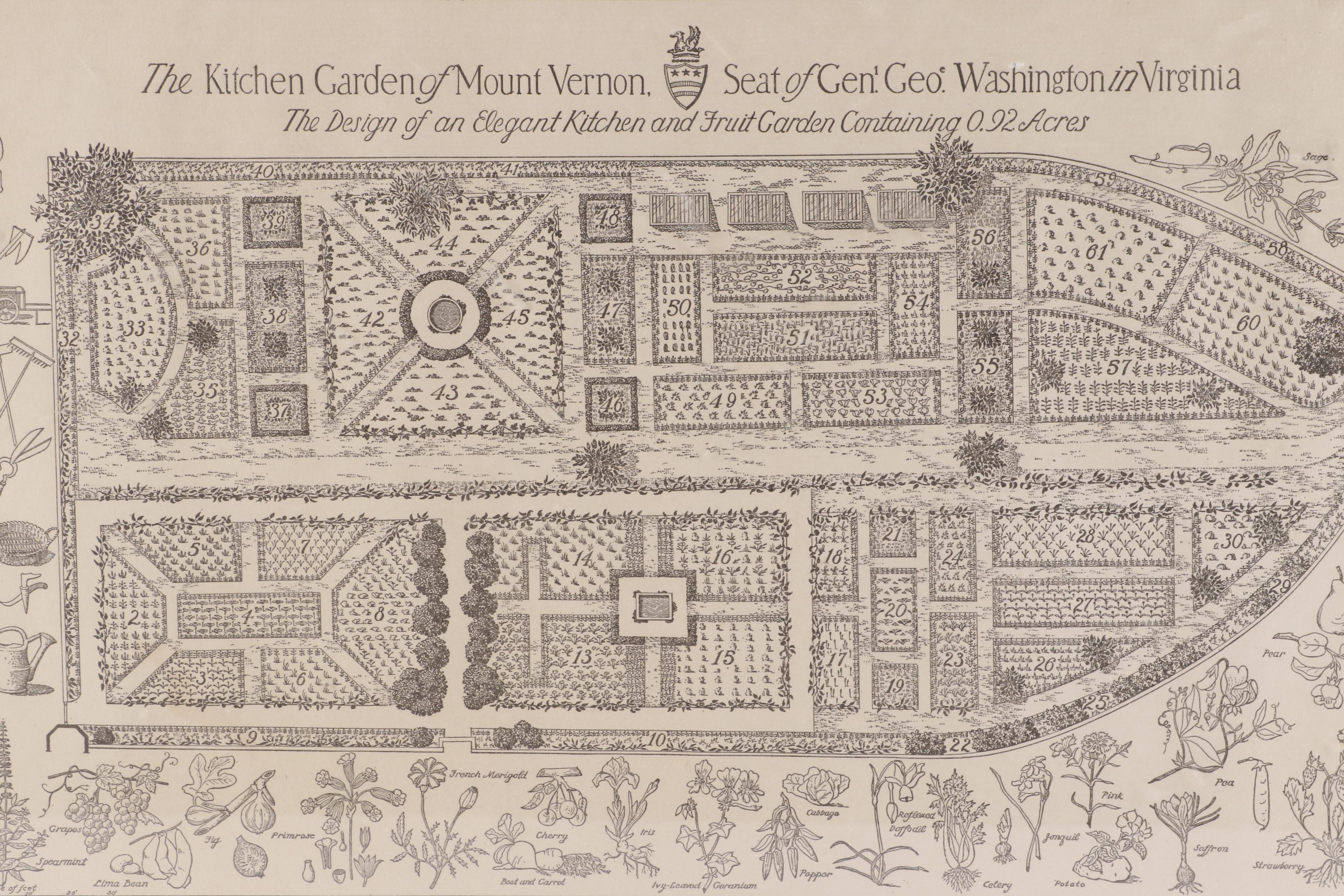 Lithograph after Nathalia Ulman "The Kitchen Garden of Mount Vernon"