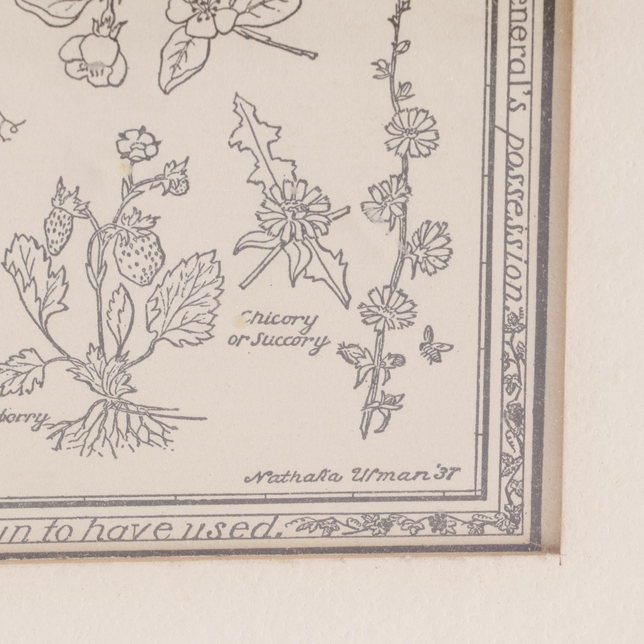 Lithograph after Nathalia Ulman "The Kitchen Garden of Mount Vernon"