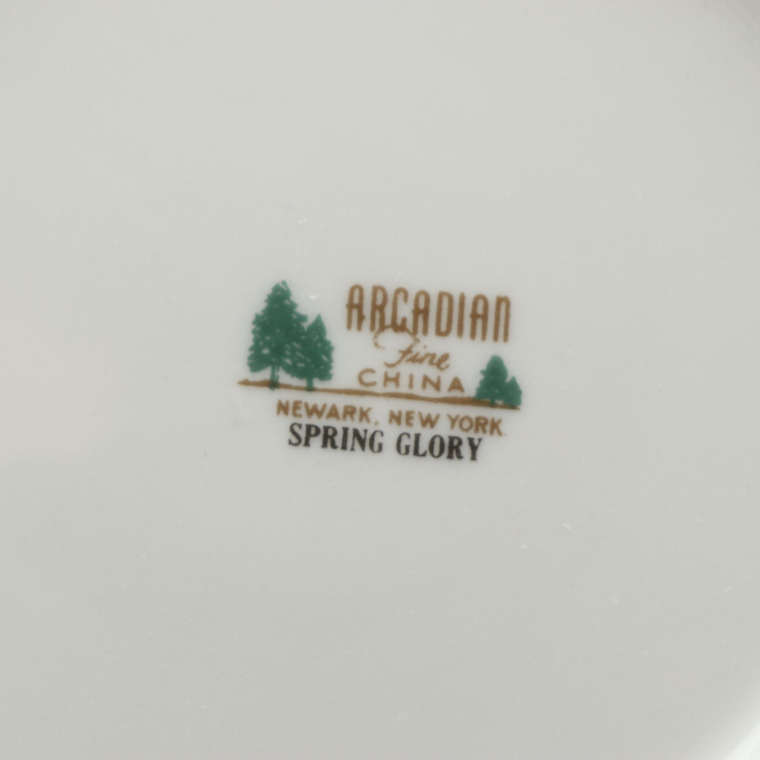 Arcadian Fine China "Spring Glory" Dinnerware Set