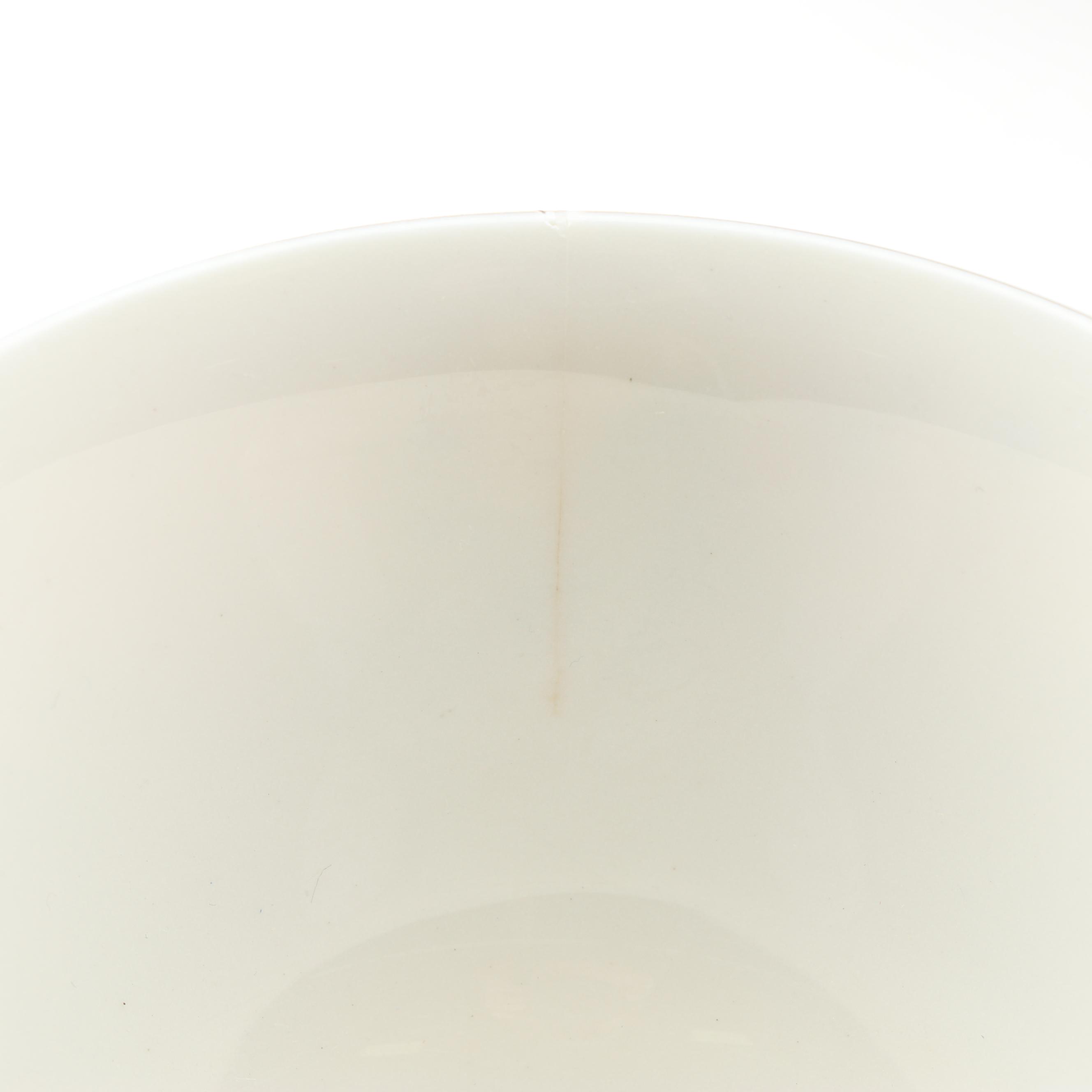 Arcadian Fine China "Spring Glory" Dinnerware Set