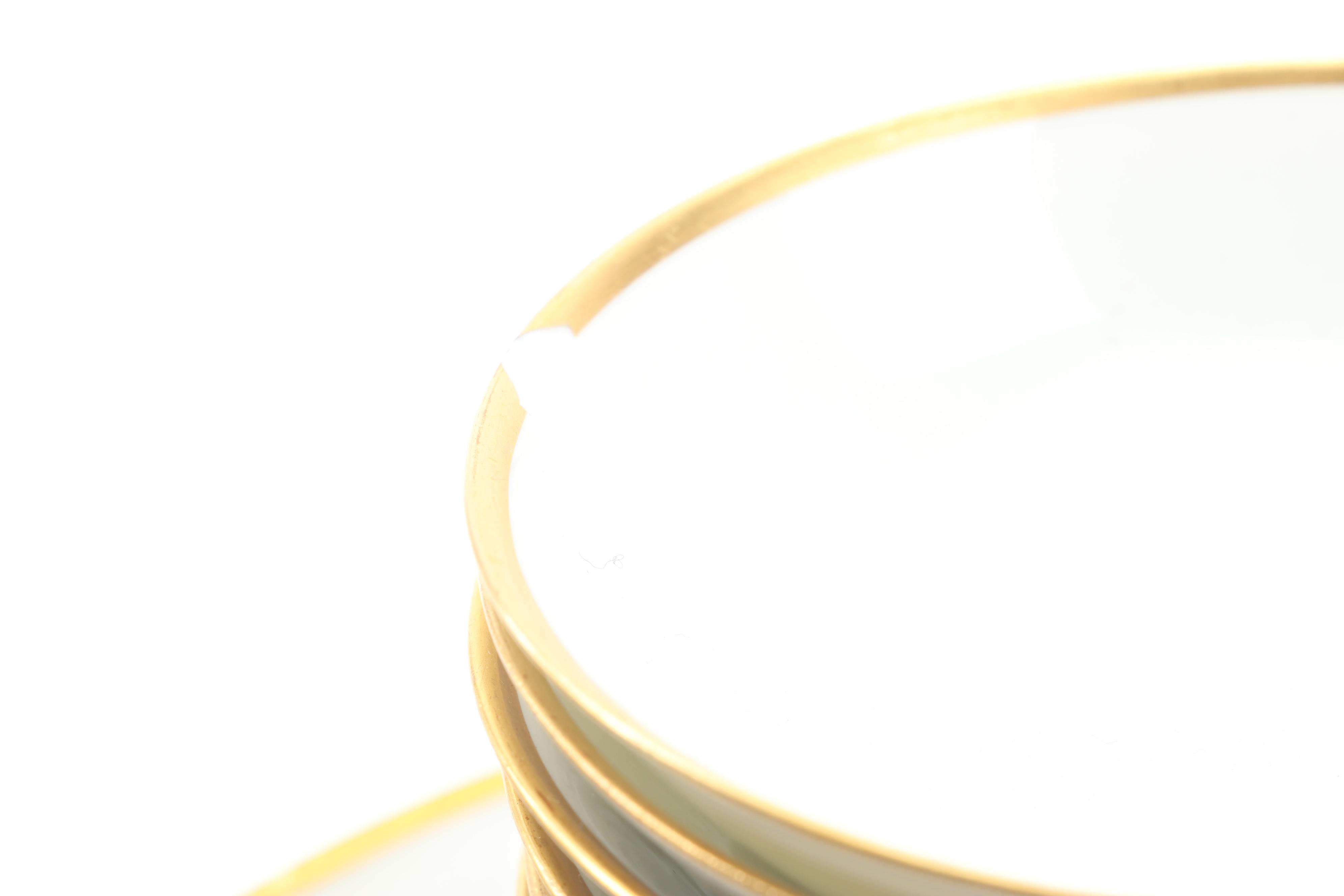 Vintage Haviland "Mirabeau" Porcelain Dinnerware