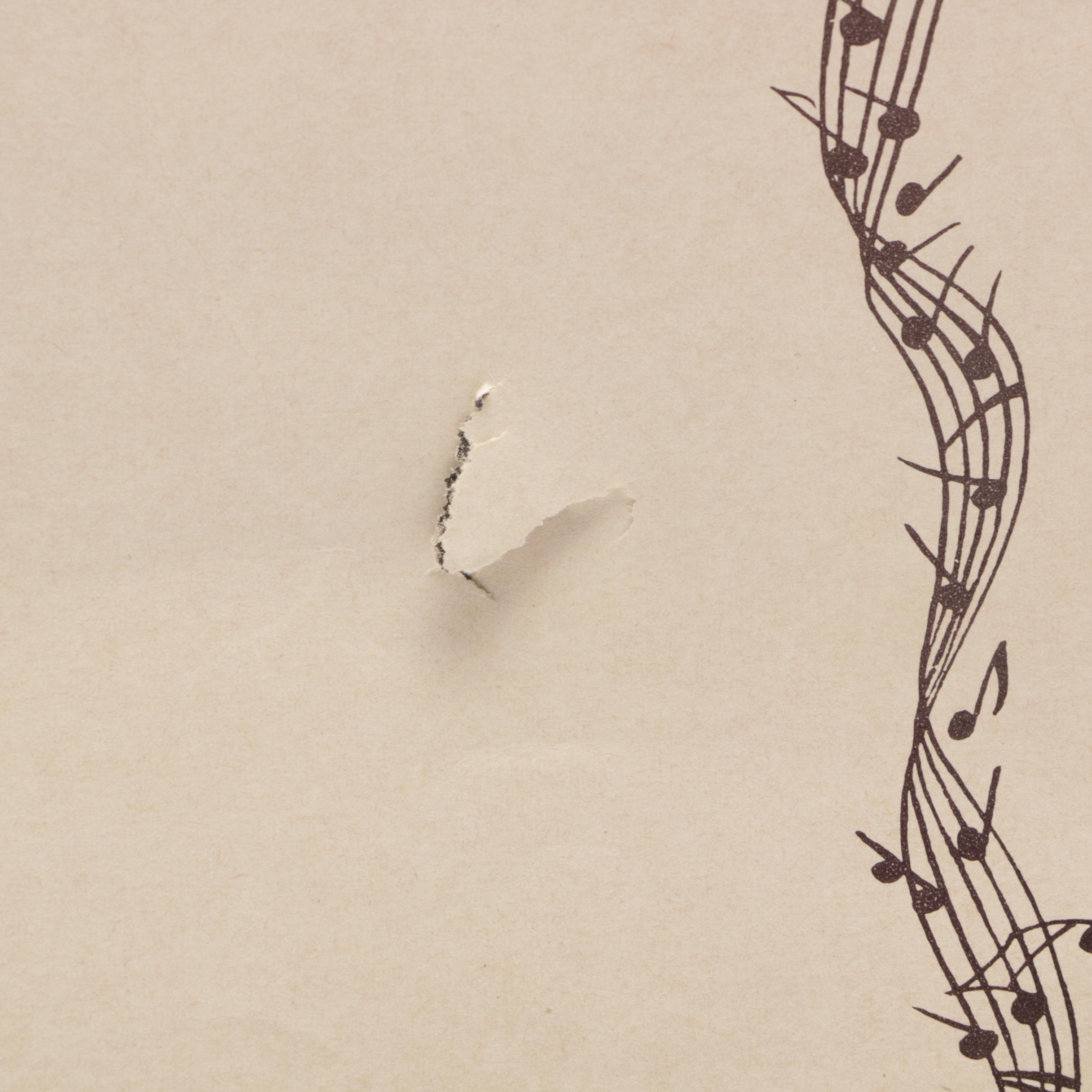 1950s Rock-N-Roll Star Elvis Presley Souvenir Photo Album From RCA Records