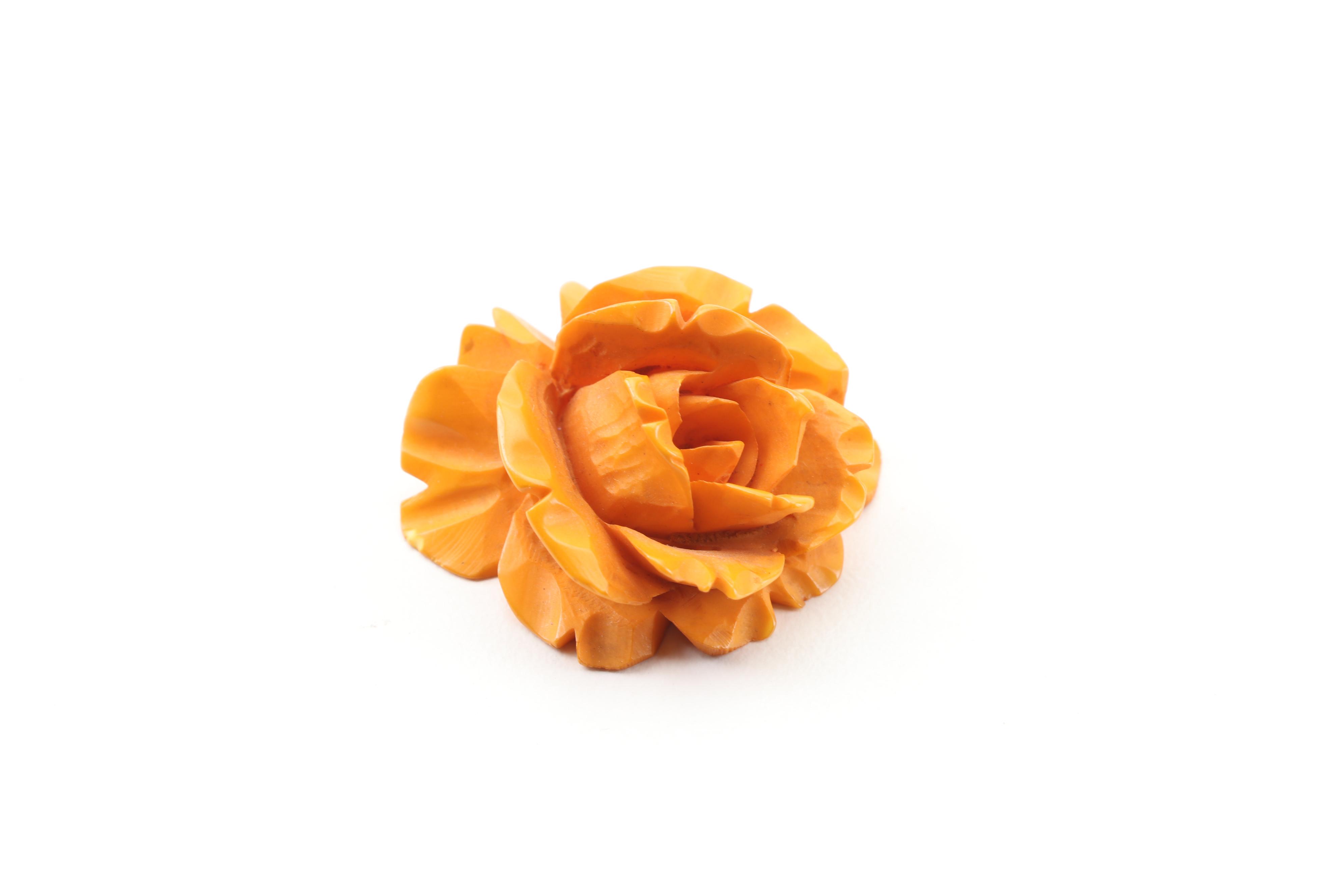 Bakelite Jewelry Assortment