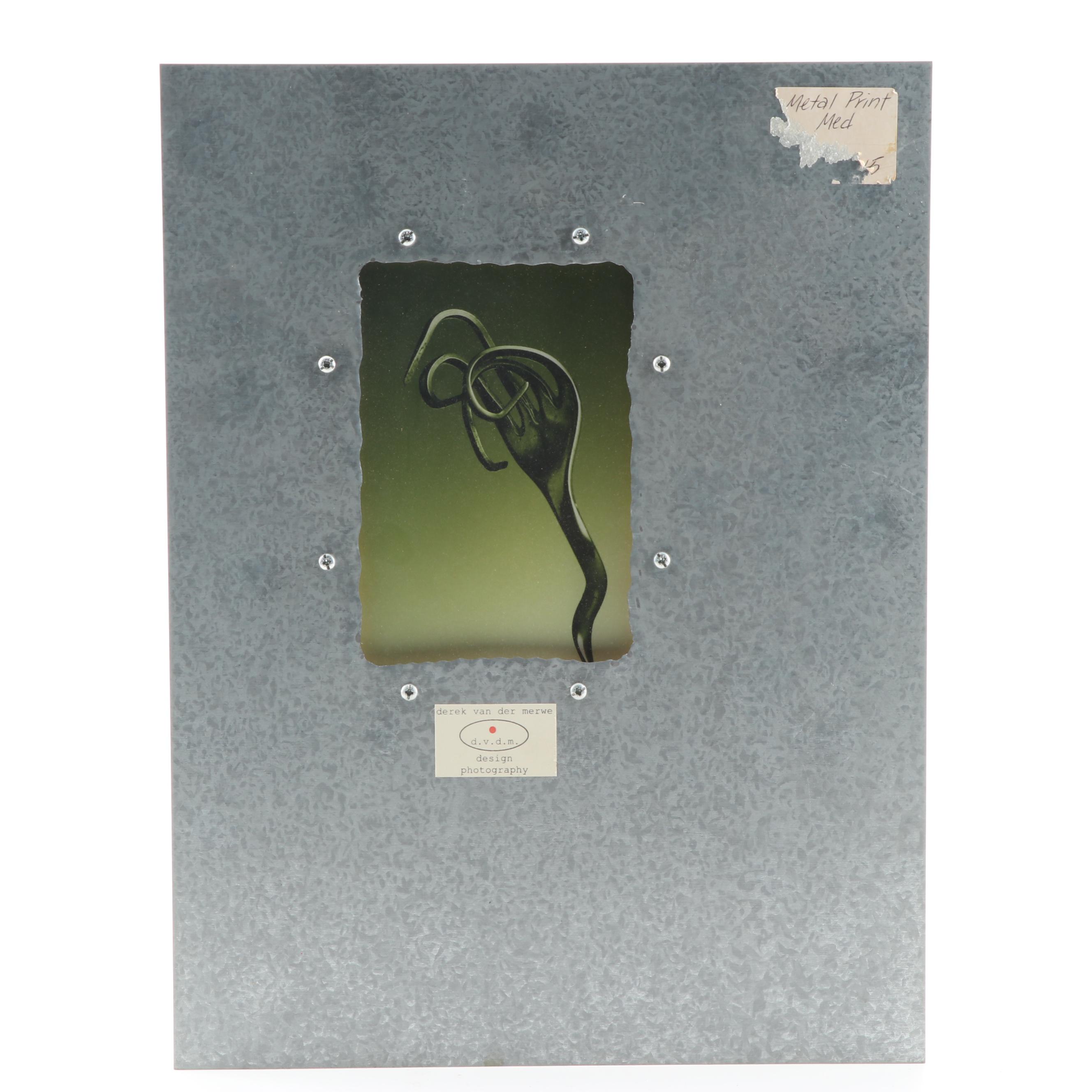 Derek Van Der Merwe  Photograph