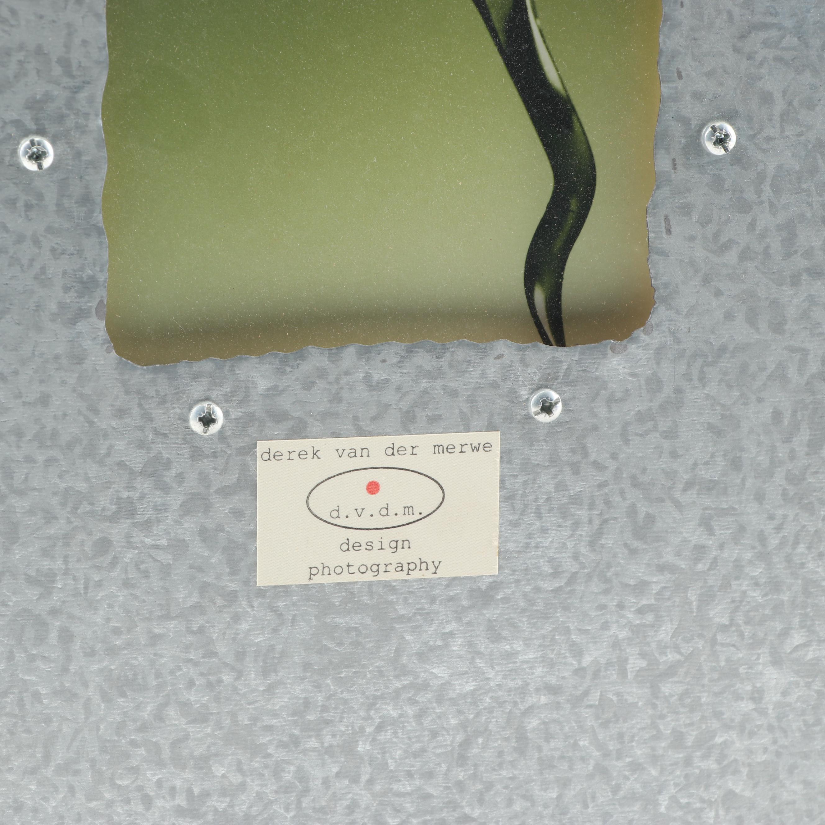 Derek Van Der Merwe  Photograph