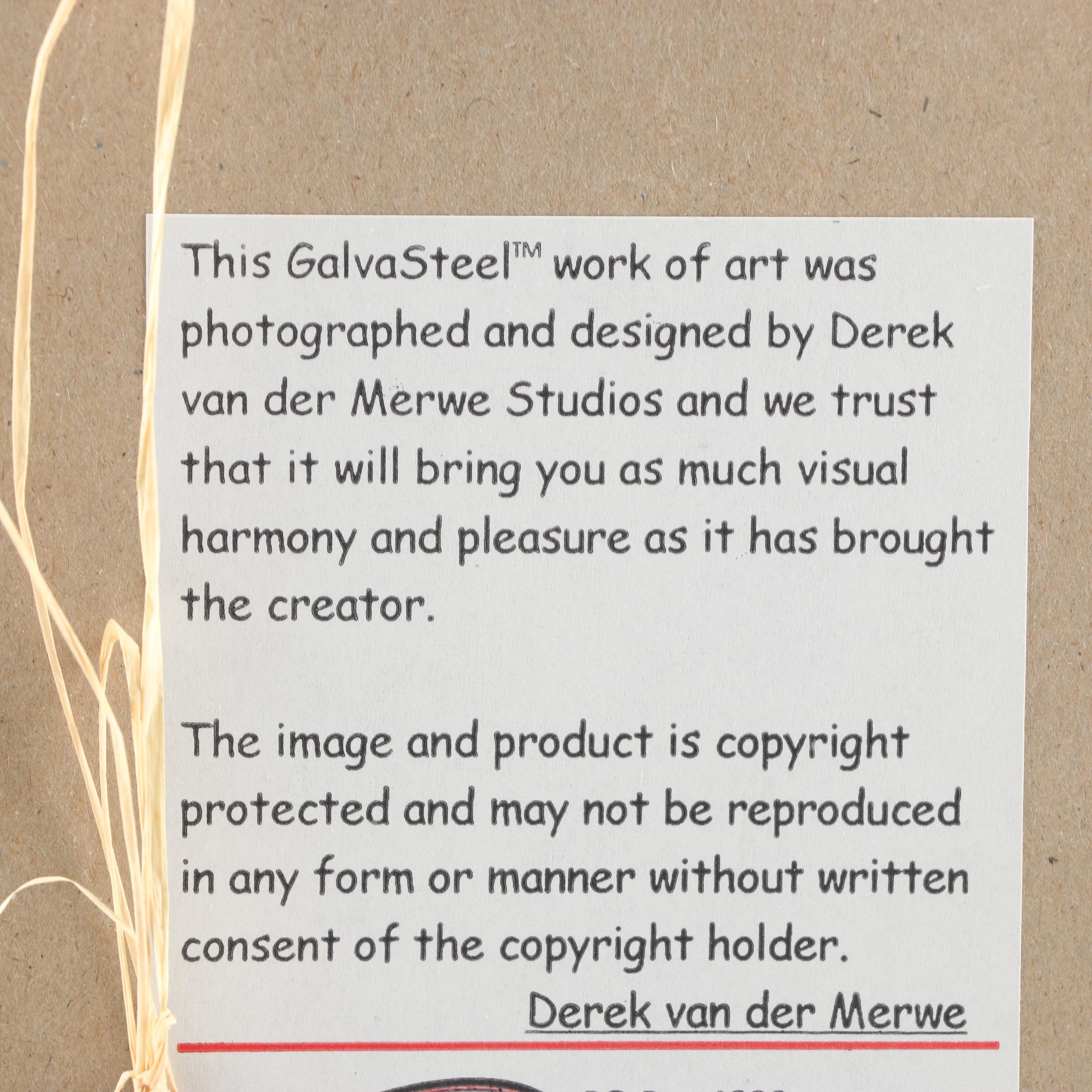 Derek Van Der Merwe  Photograph