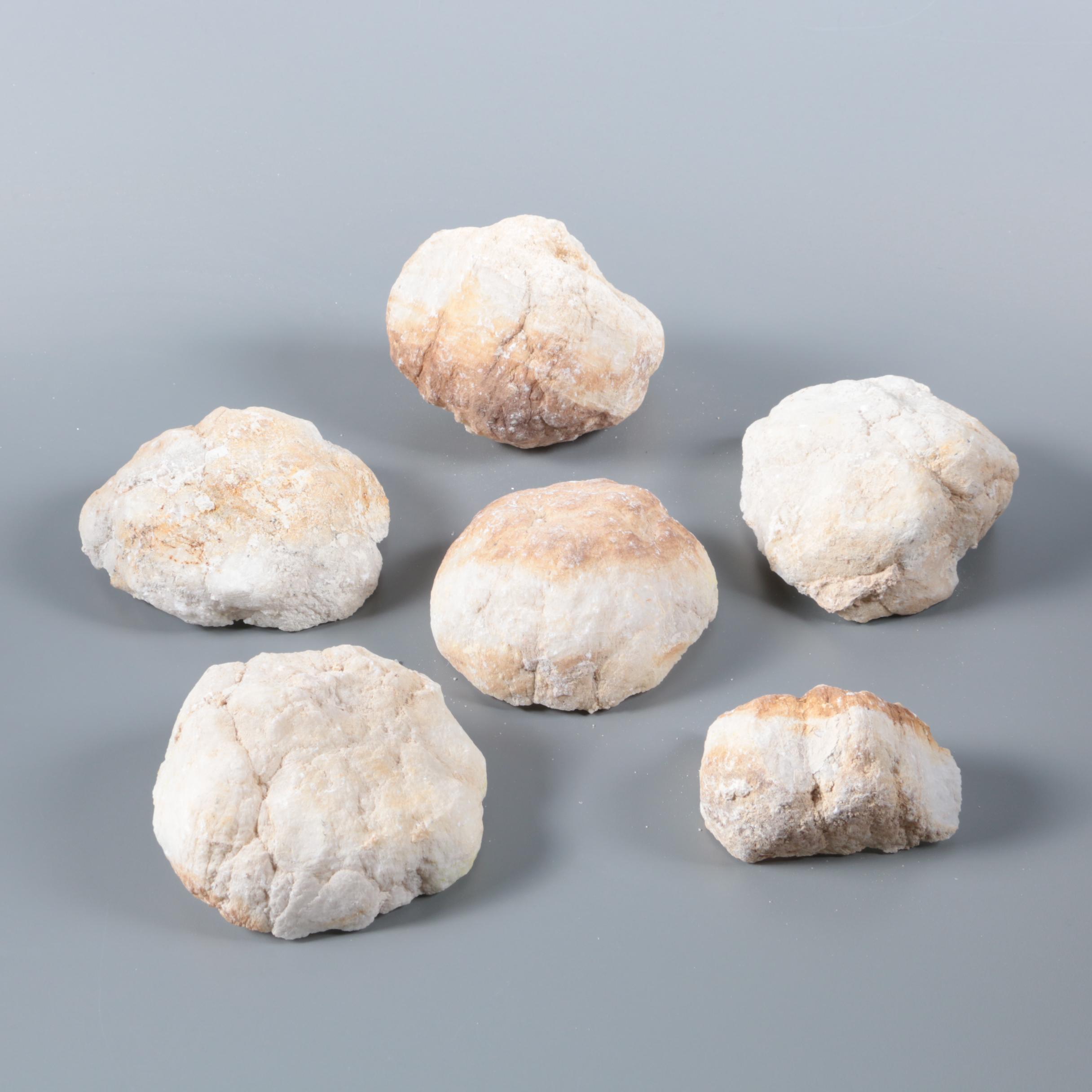 Moroccan White Quartz Geode Specimens