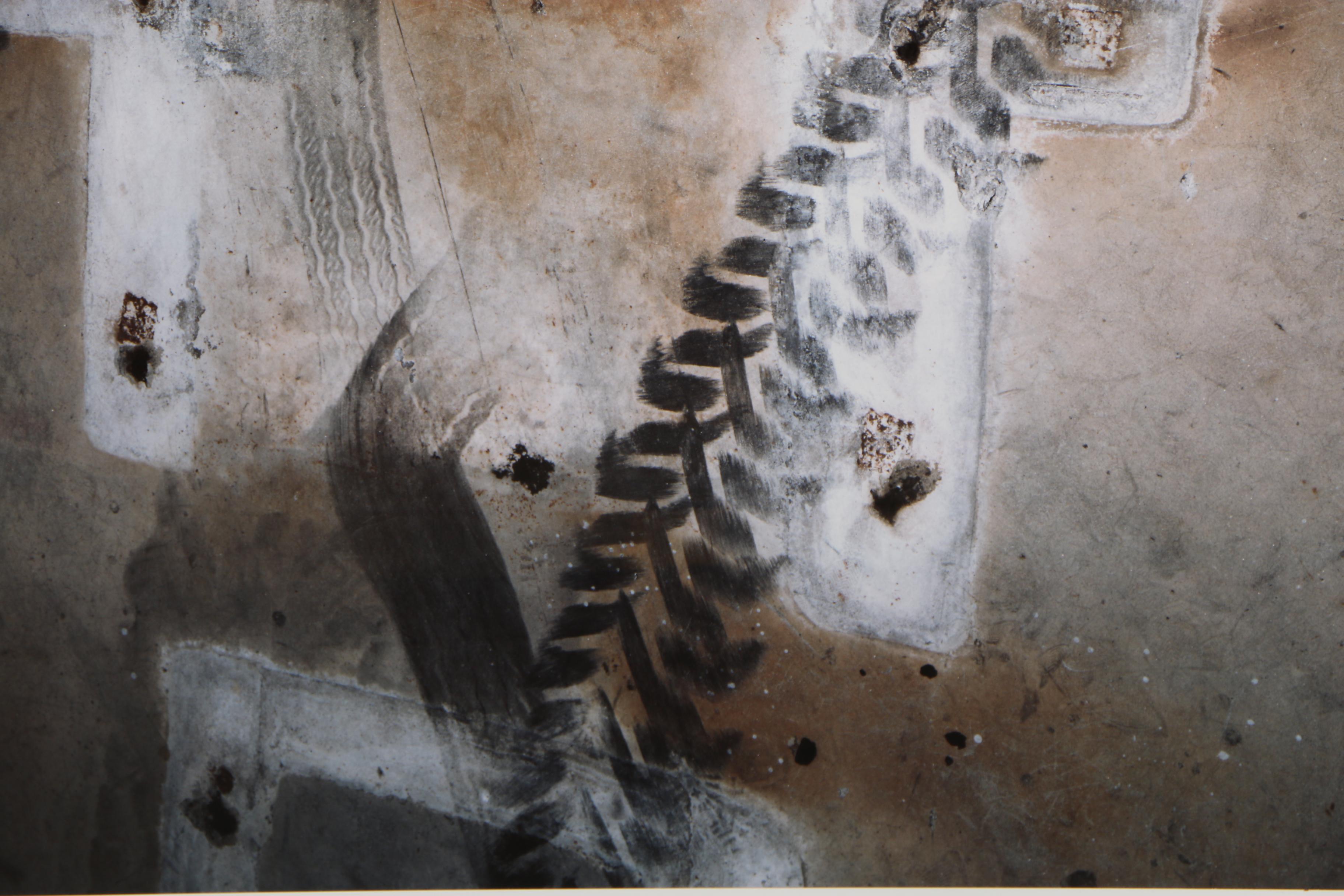 John Huggins 1993 Cibachrome Photograph "Decomposition #9"