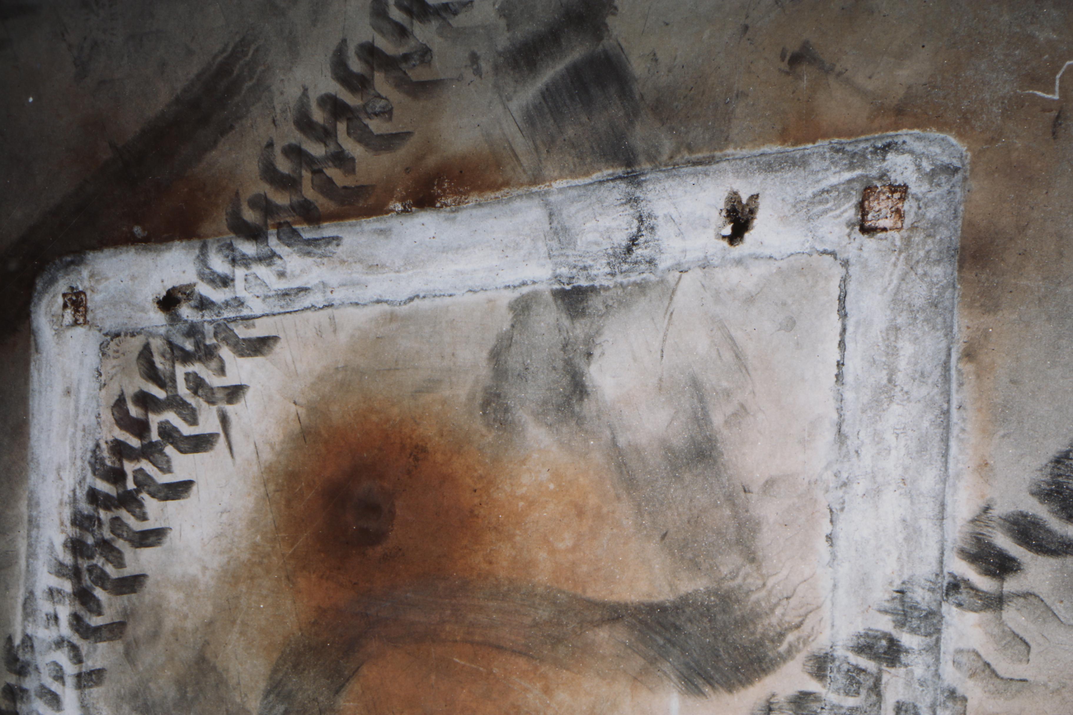 John Huggins 1993 Cibachrome Photograph "Decomposition #9"