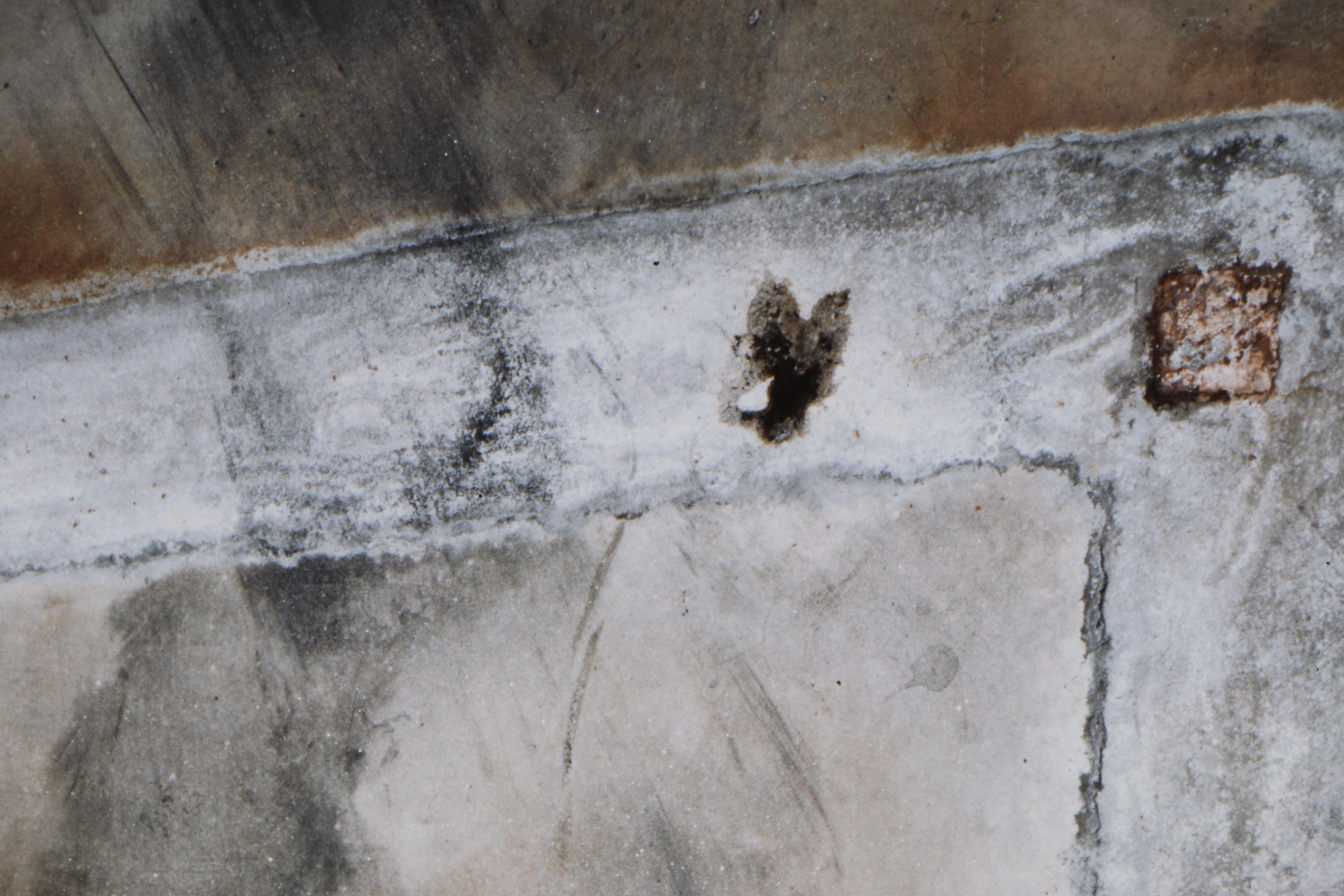 John Huggins 1993 Cibachrome Photograph "Decomposition #9"