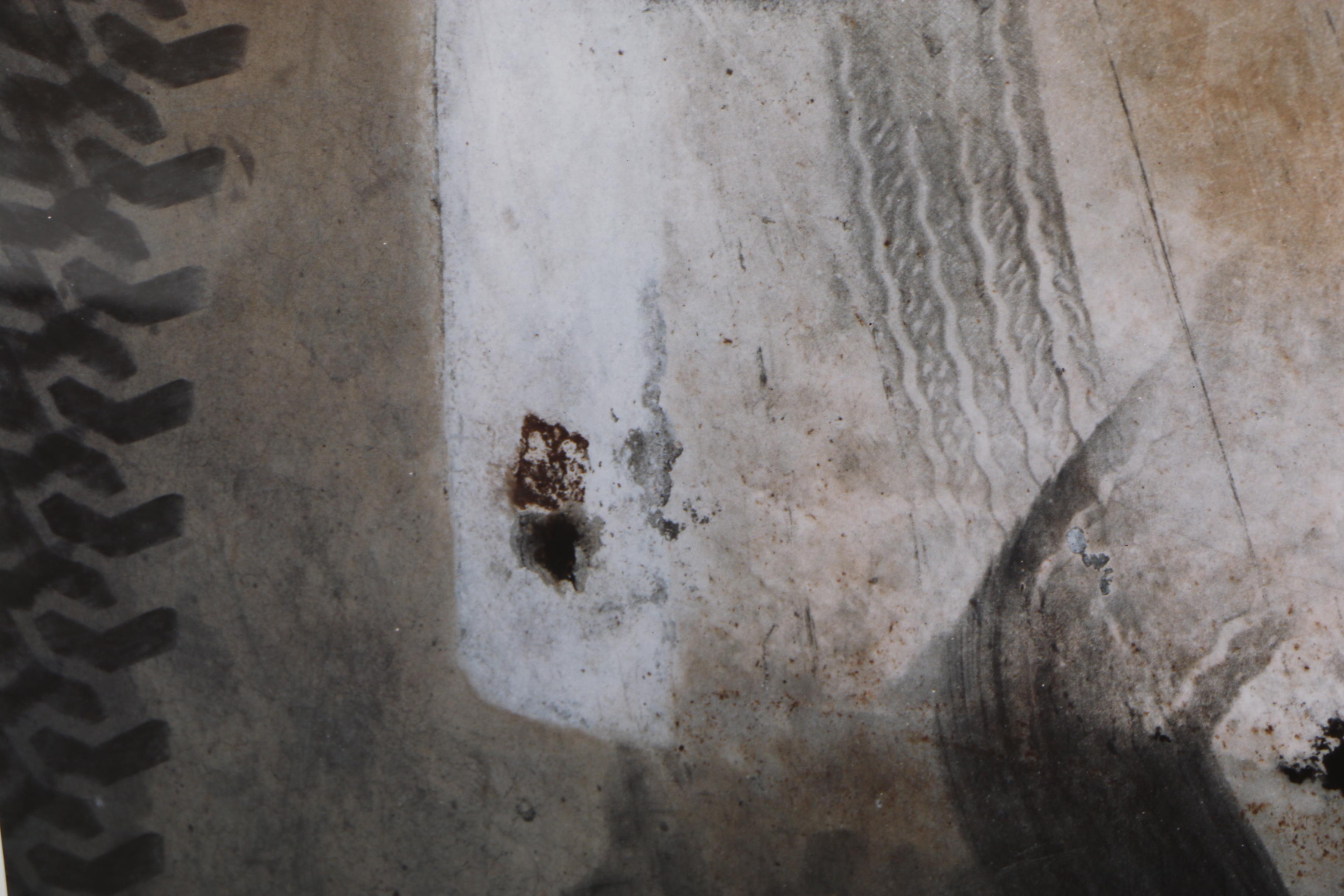 John Huggins 1993 Cibachrome Photograph "Decomposition #9"