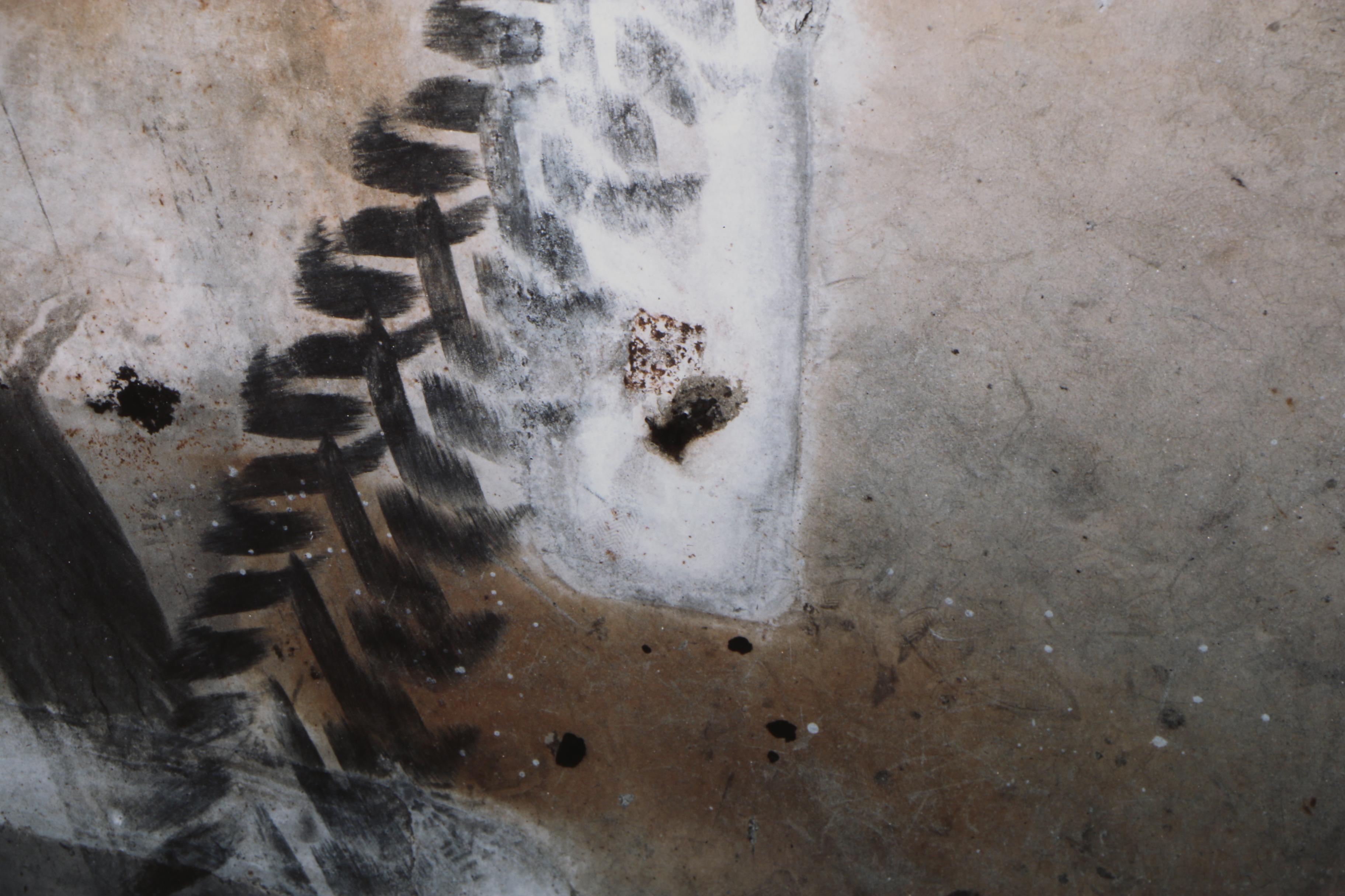 John Huggins 1993 Cibachrome Photograph "Decomposition #9"