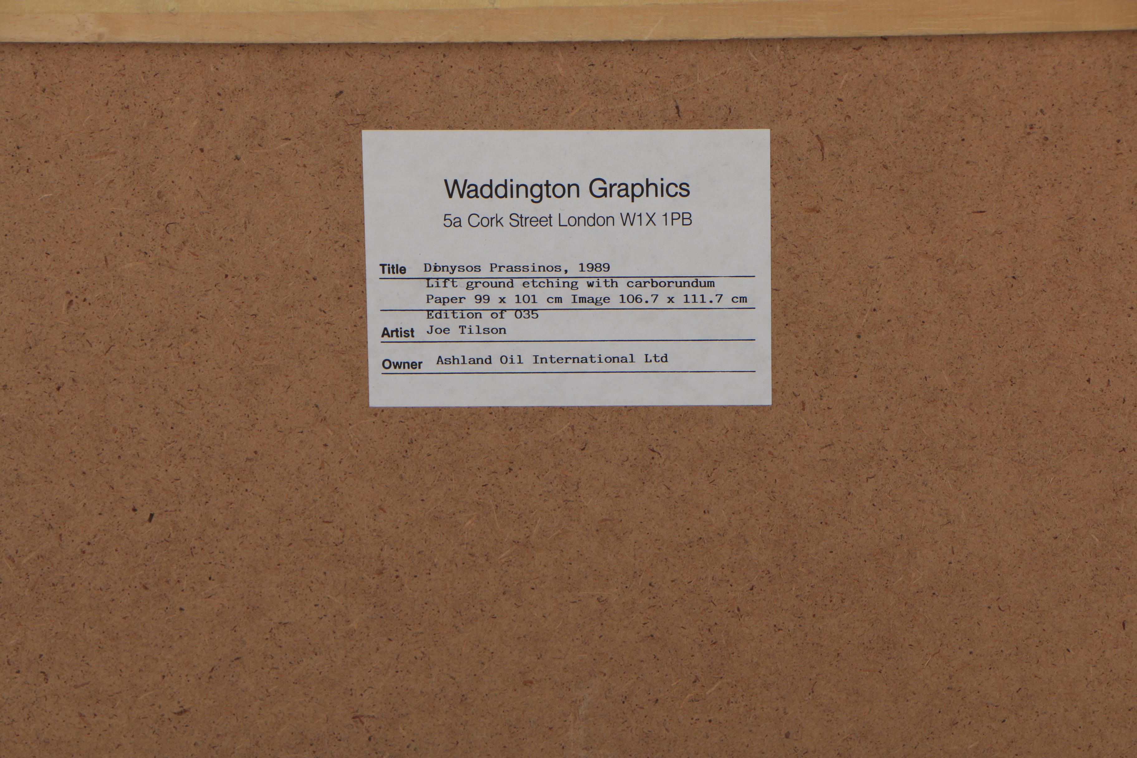 Joe Tilson 1989 Etching "Dionysos Prassinnos"