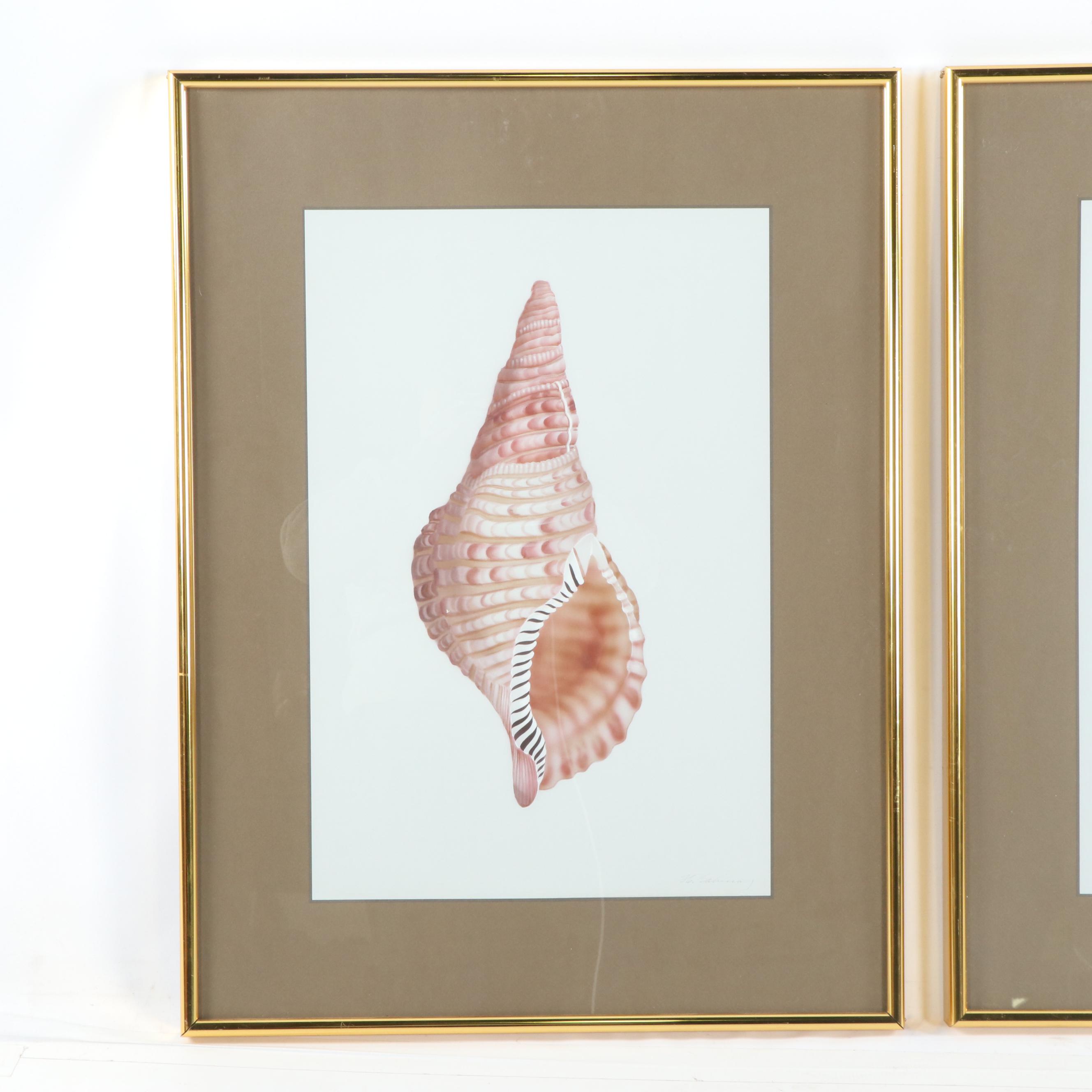 H. Sahina Seashell Acrylic Paintings on Silk