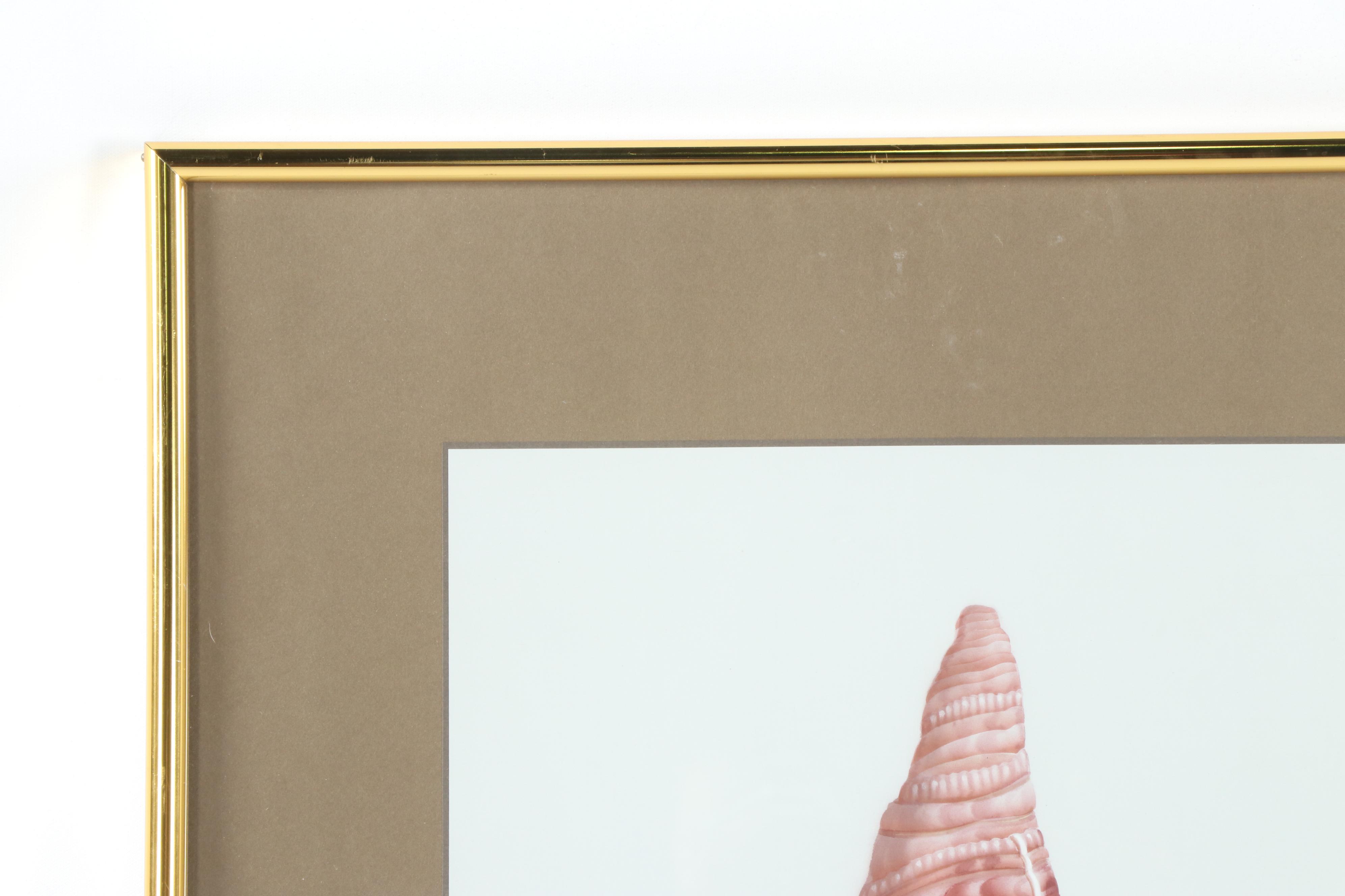 H. Sahina Seashell Acrylic Paintings on Silk