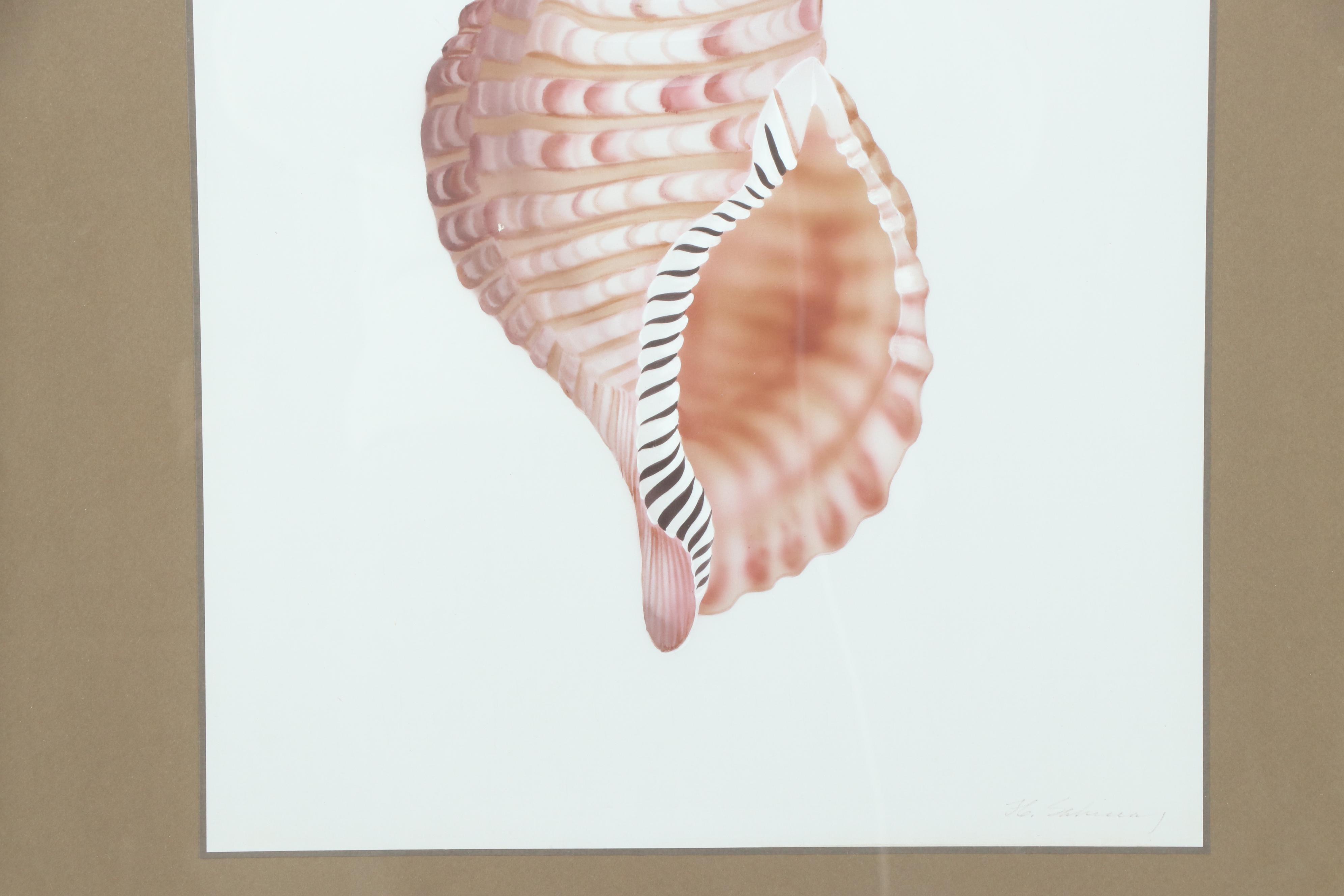 H. Sahina Seashell Acrylic Paintings on Silk