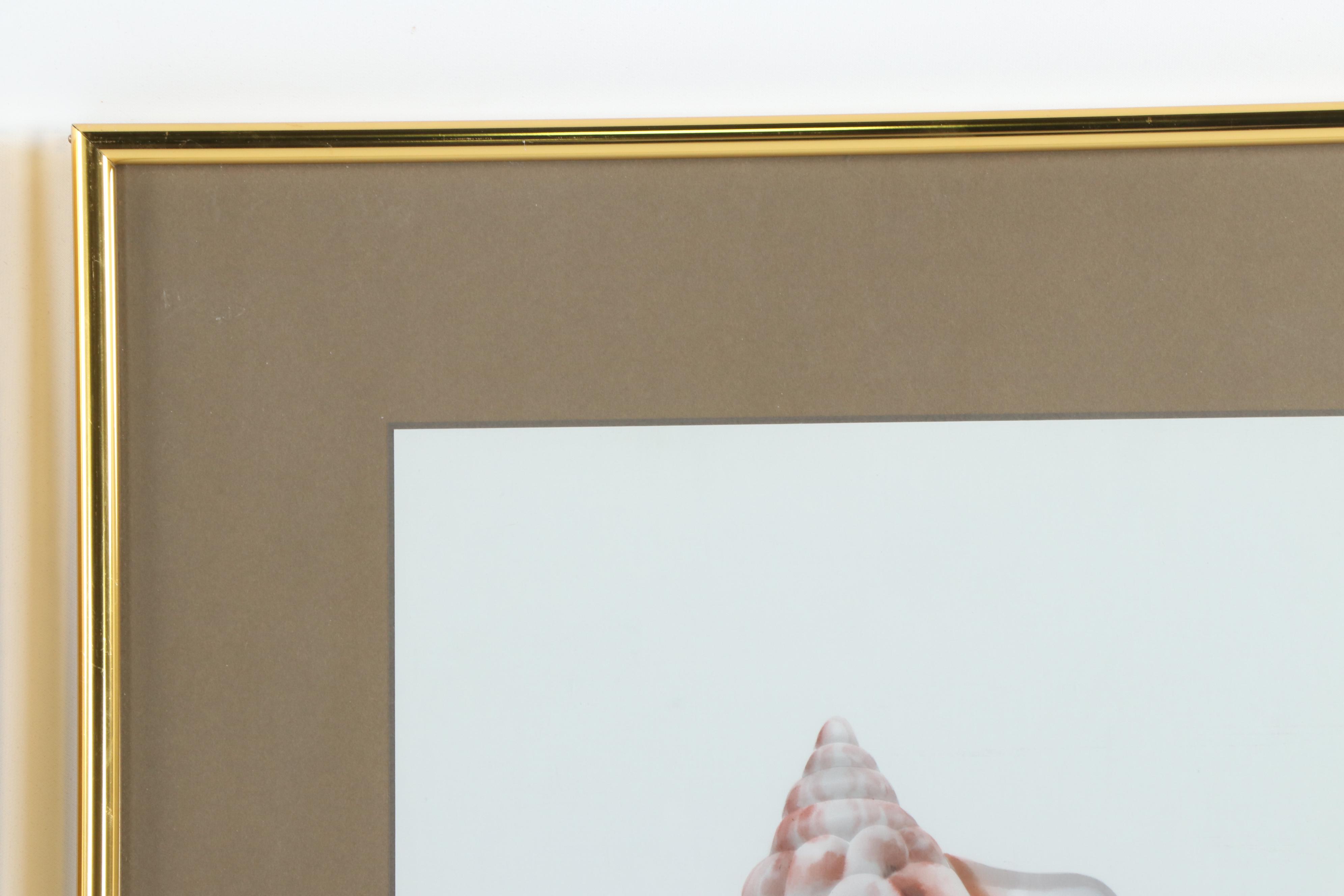 H. Sahina Seashell Acrylic Paintings on Silk