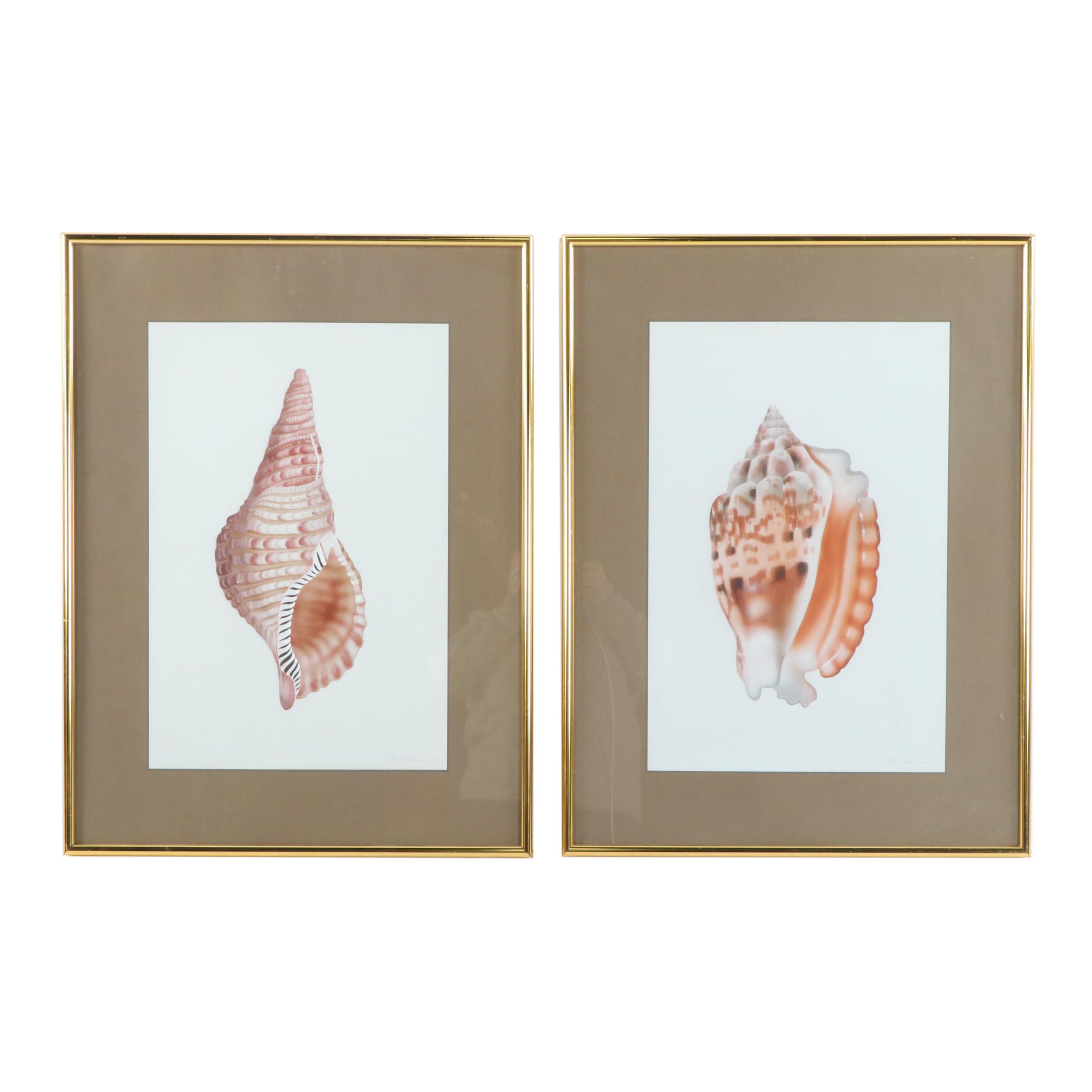 H. Sahina Seashell Acrylic Paintings on Silk