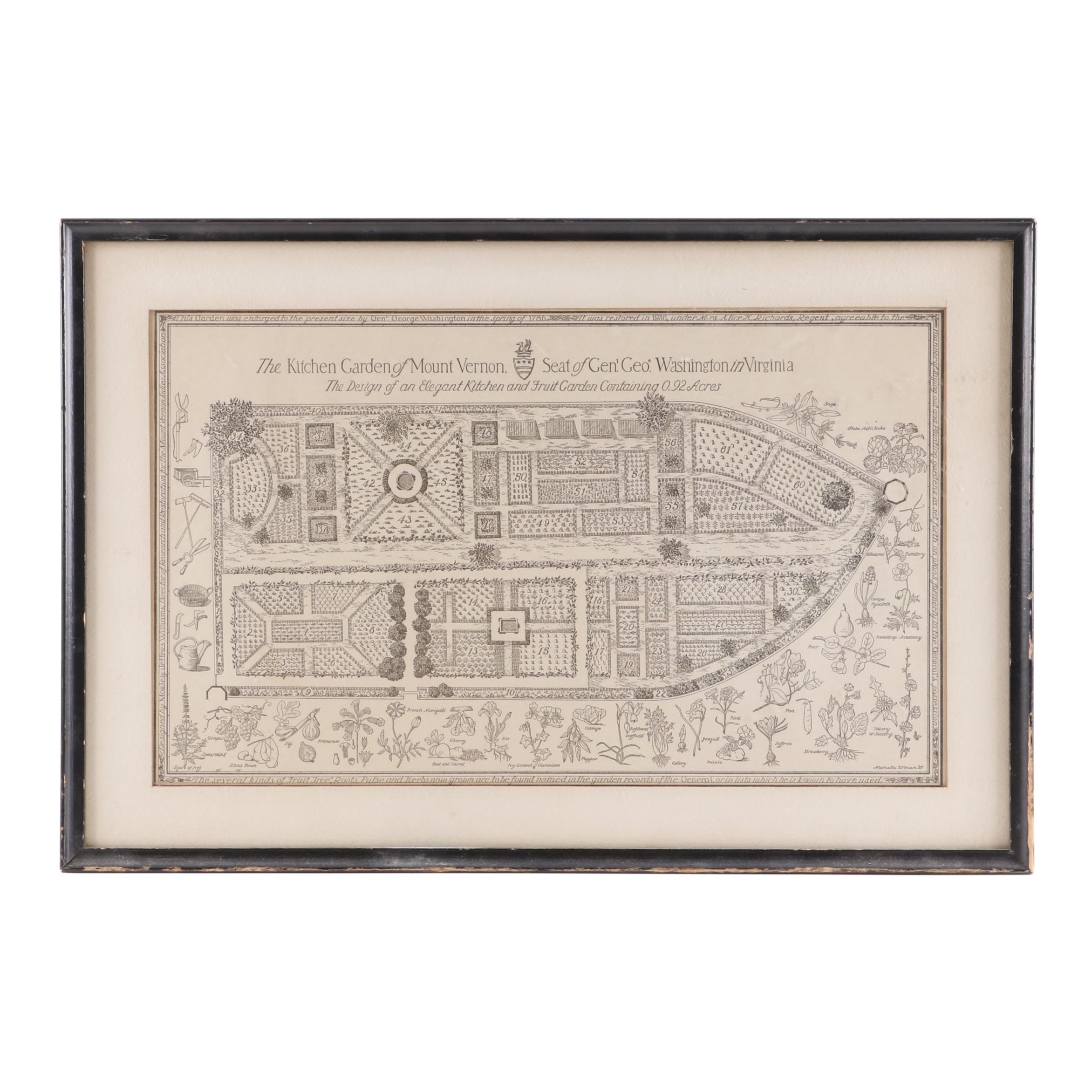 Lithograph after Nathalia Ulman "The Kitchen Garden of Mount Vernon"