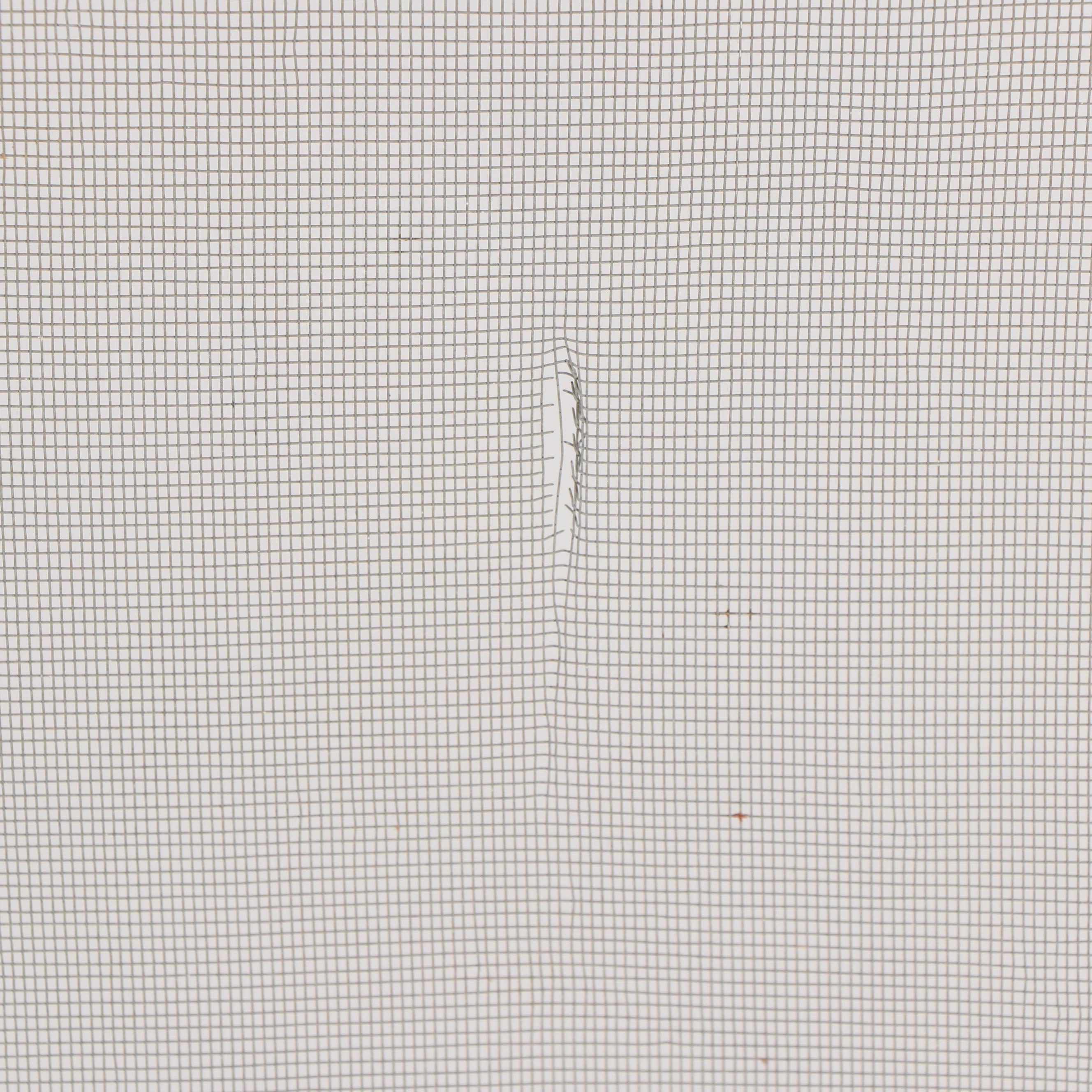 Screened Window Panels