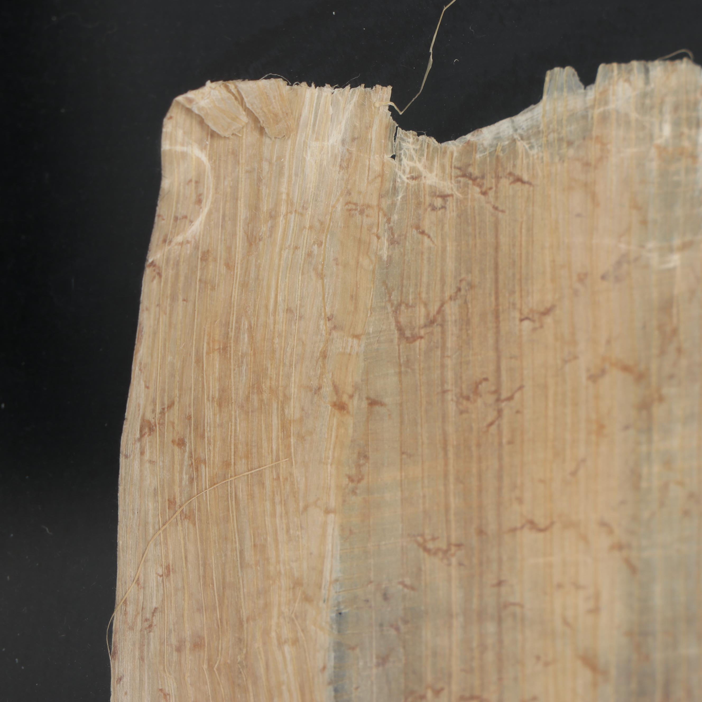 Egyptian Style Gouache Painting on Papyrus