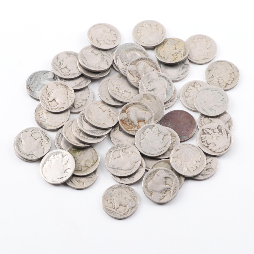 Fifty Buffalo Nickels