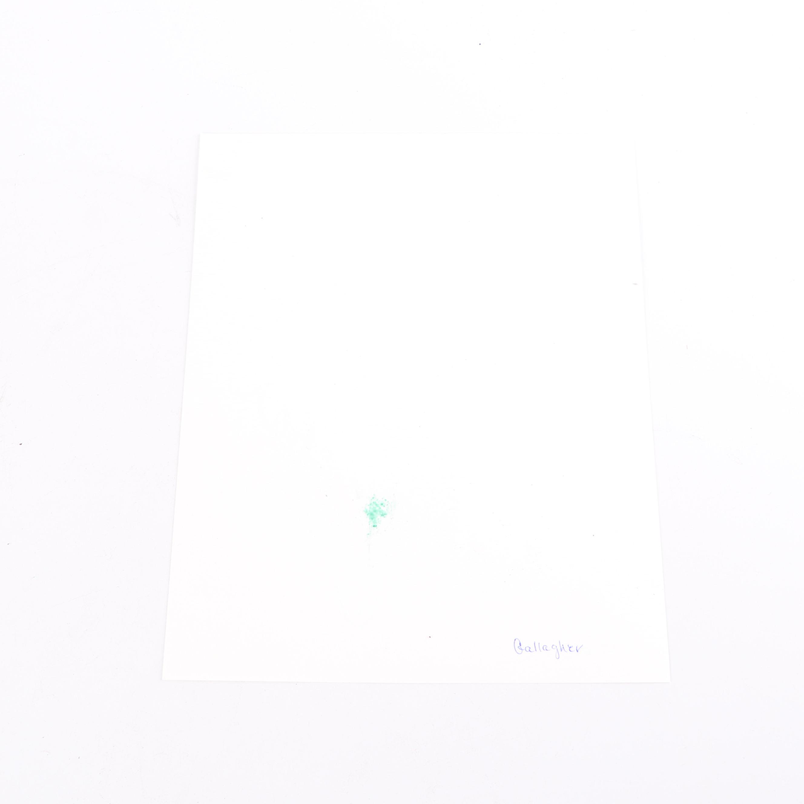 Leo Anthony Gallagher Autographed Photograph