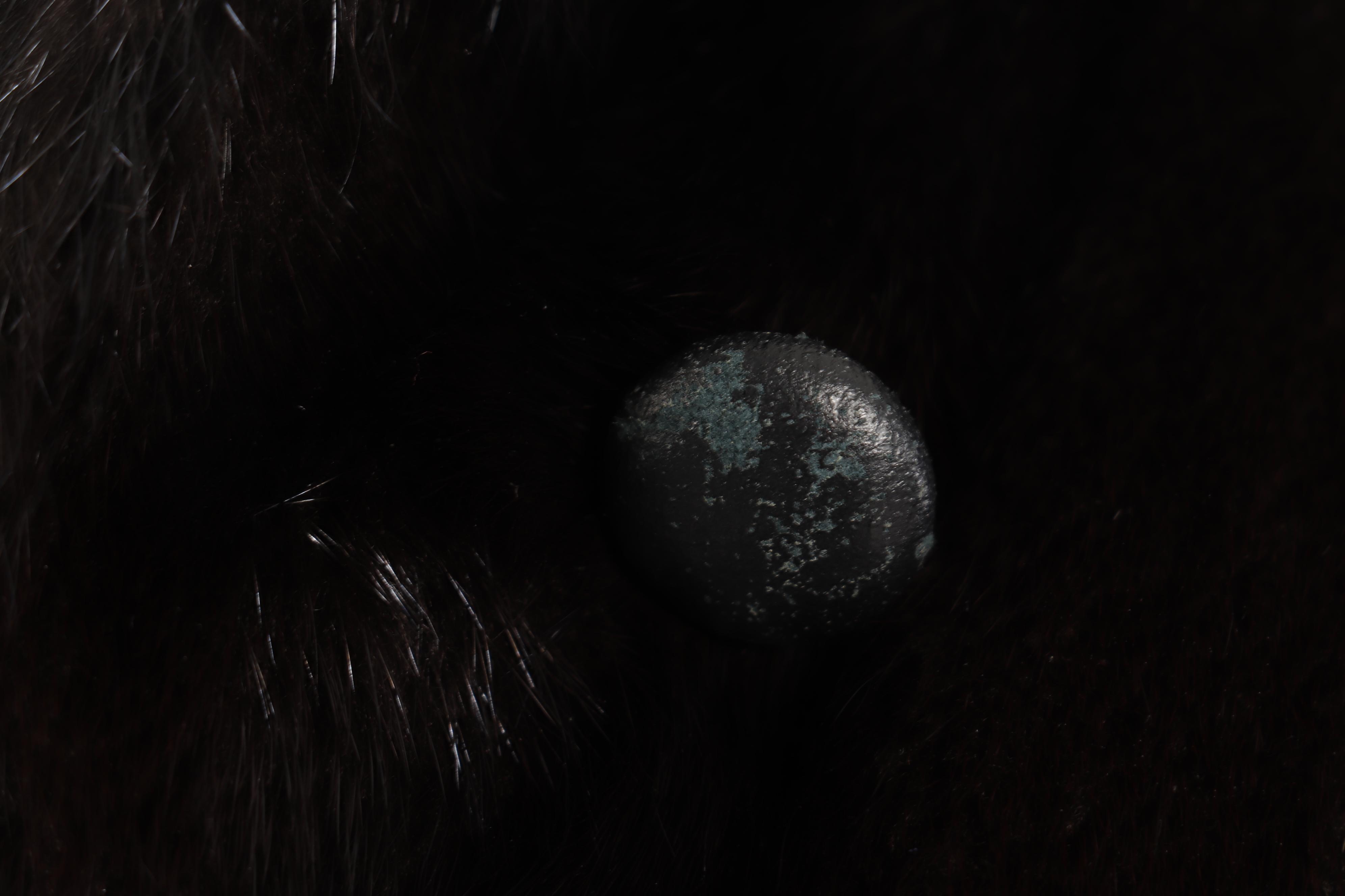 Women's Furs by Gregory Stergiou Ranch Mink Fur Coat, Vintage