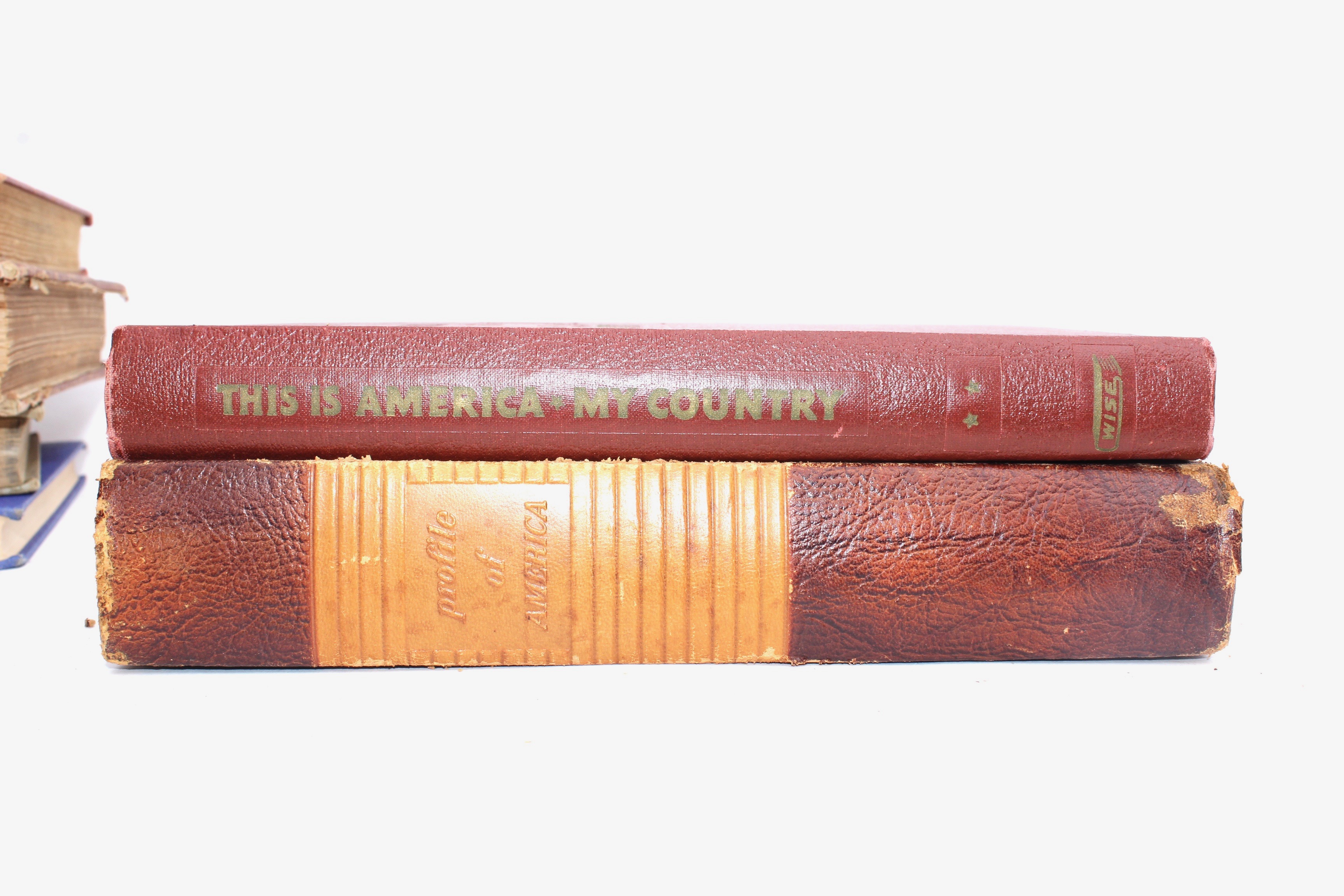 Antique History Book Collection