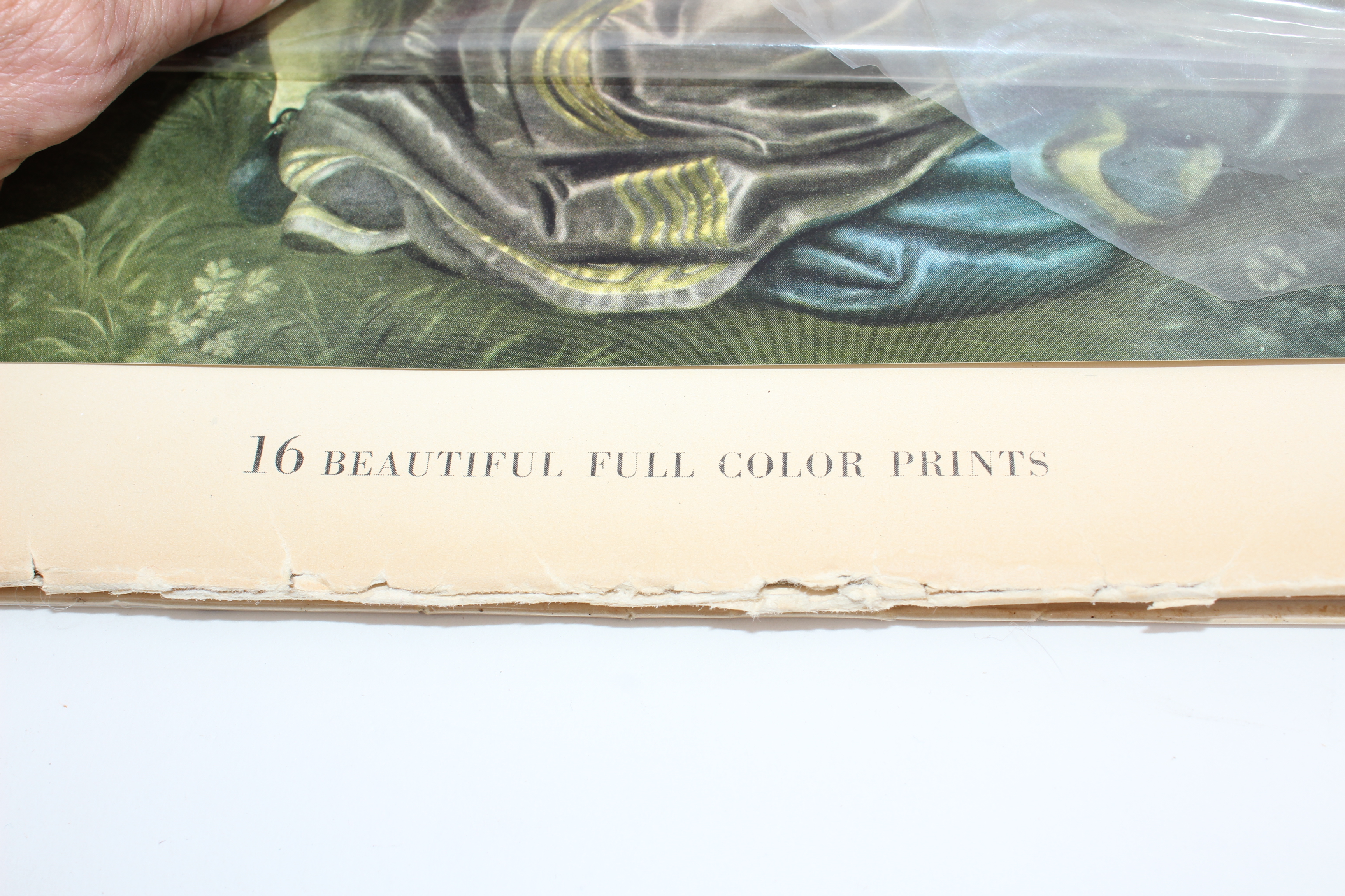 Art History Book Collection