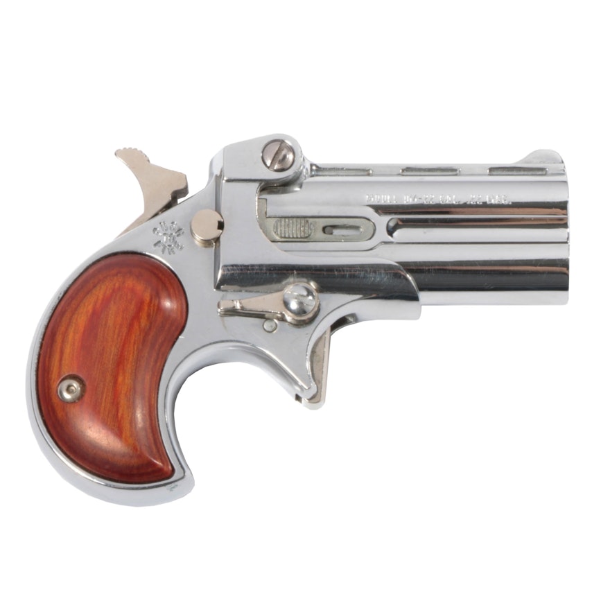 Davis Industries Derringer Style 2 shot .22 Magnum Pistol