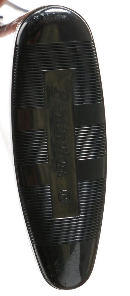 Remington Nylon Model 12 .22 Caliber Rifle with Weaver D4 Scope