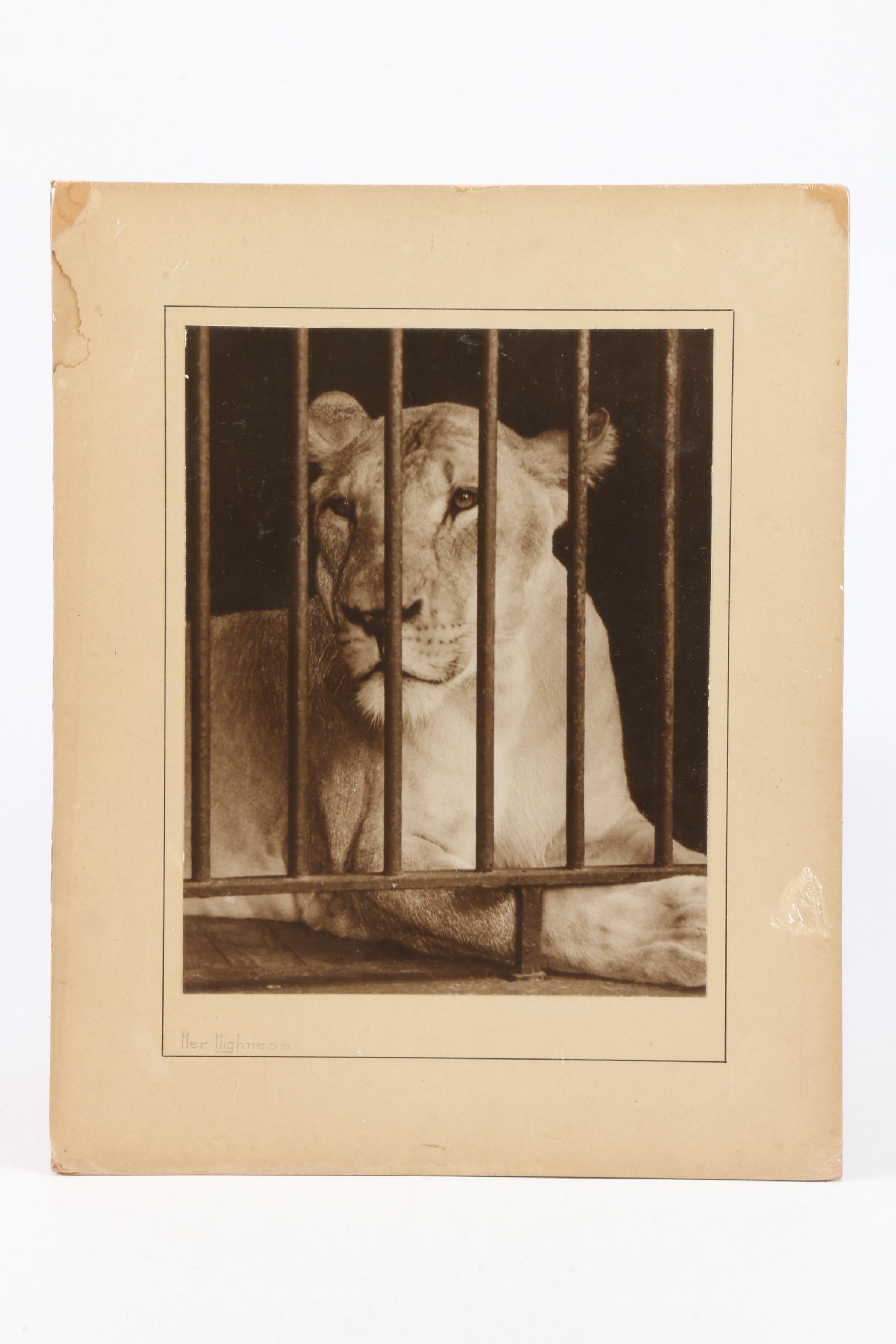 Mid 20th Century Photographic Prints "Forgotten" and "Her Highness"