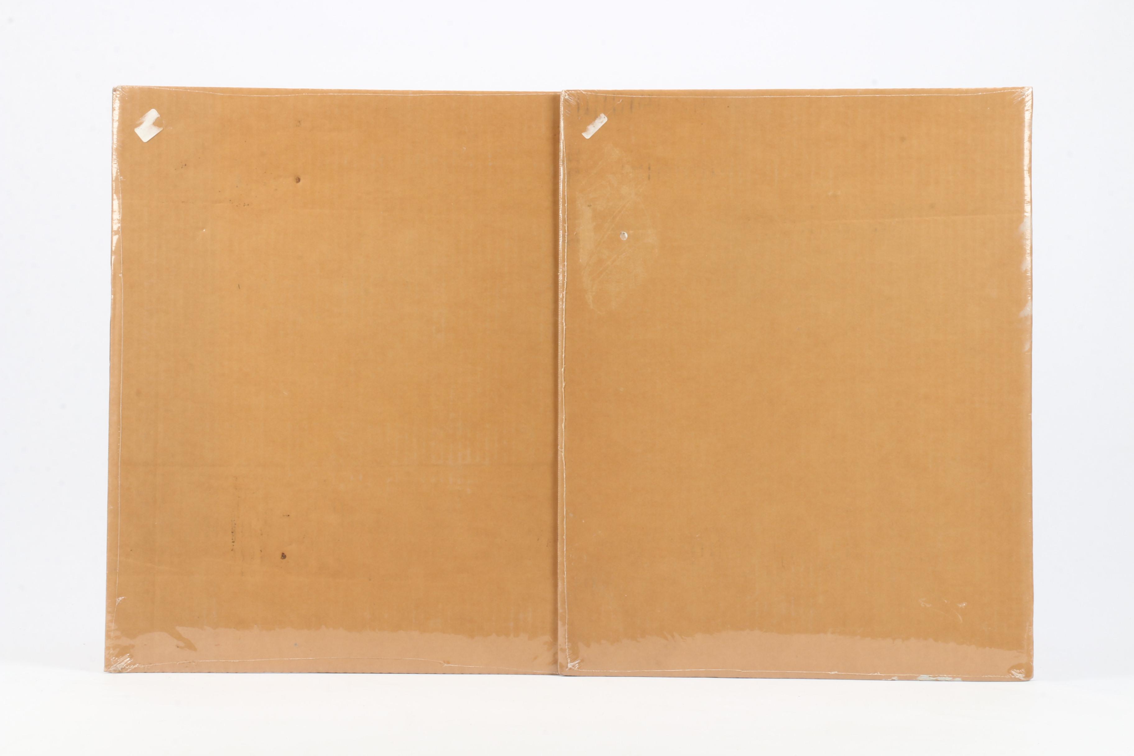 Mid 20th Century Photographic Prints "Forgotten" and "Her Highness"