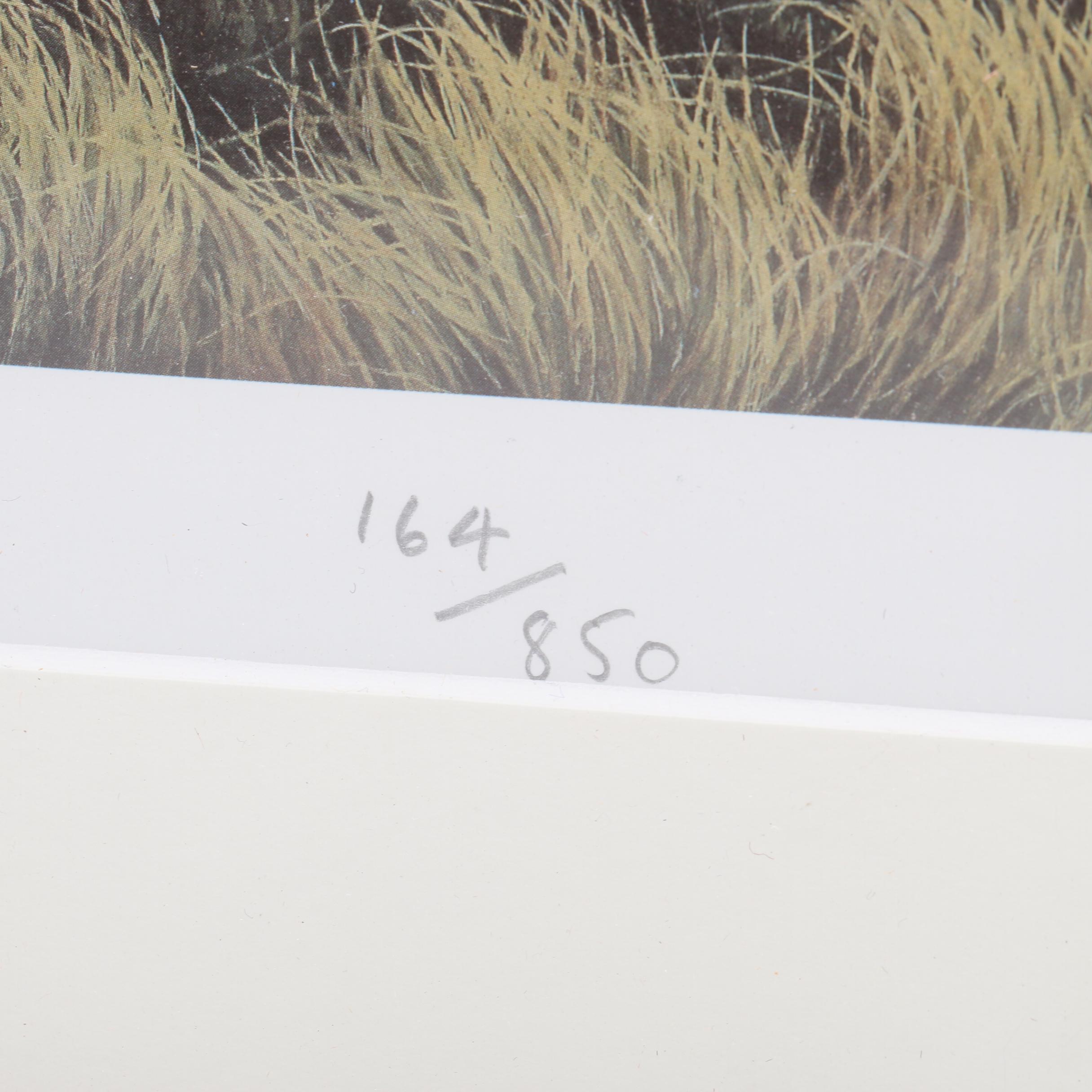 William Grandison Limited Edition Offset Lithograph "Enniscrone Golf Club"