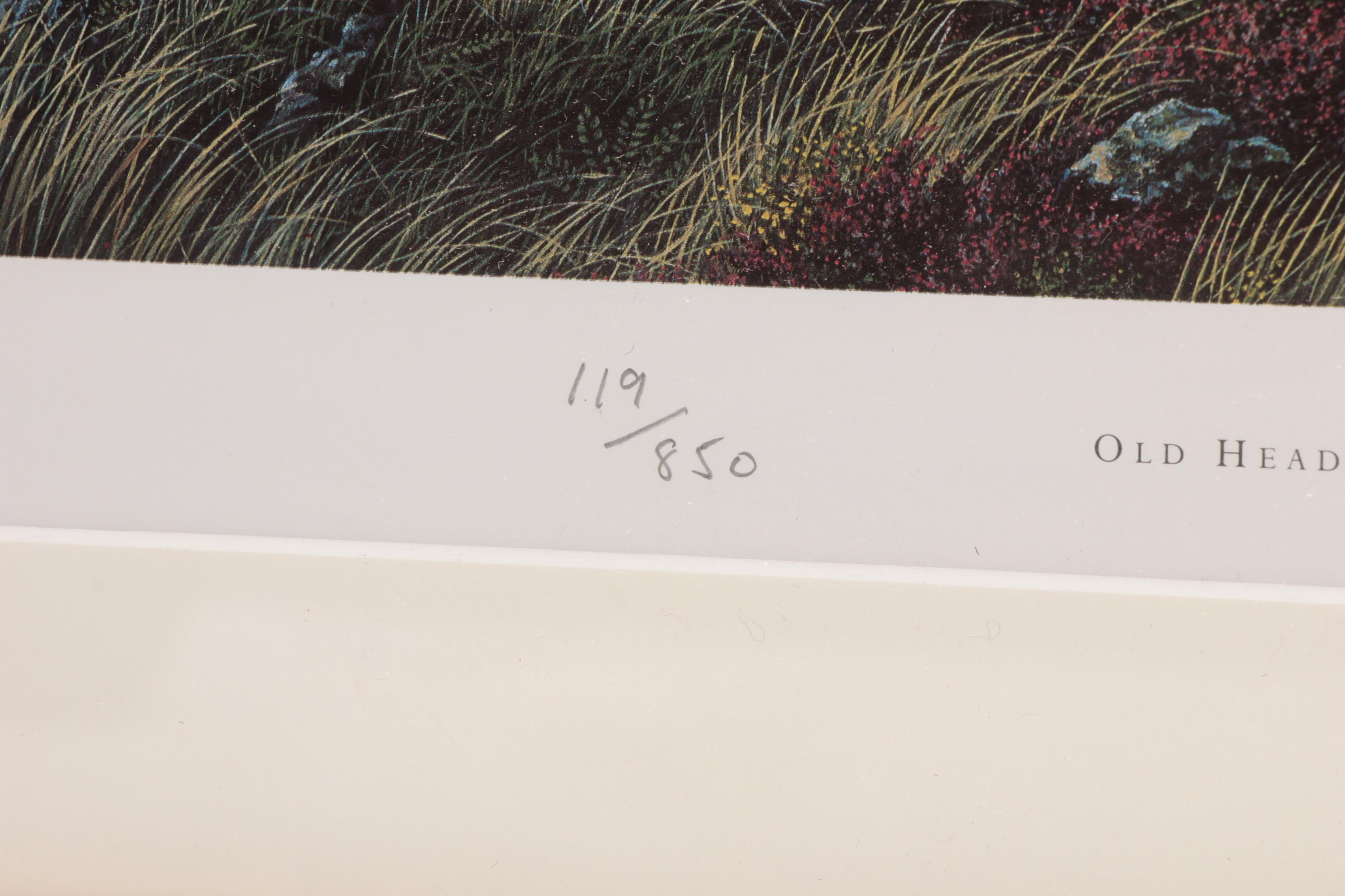 William Grandison Limited Edition Offset Lithograph "Old Head Golf Links"