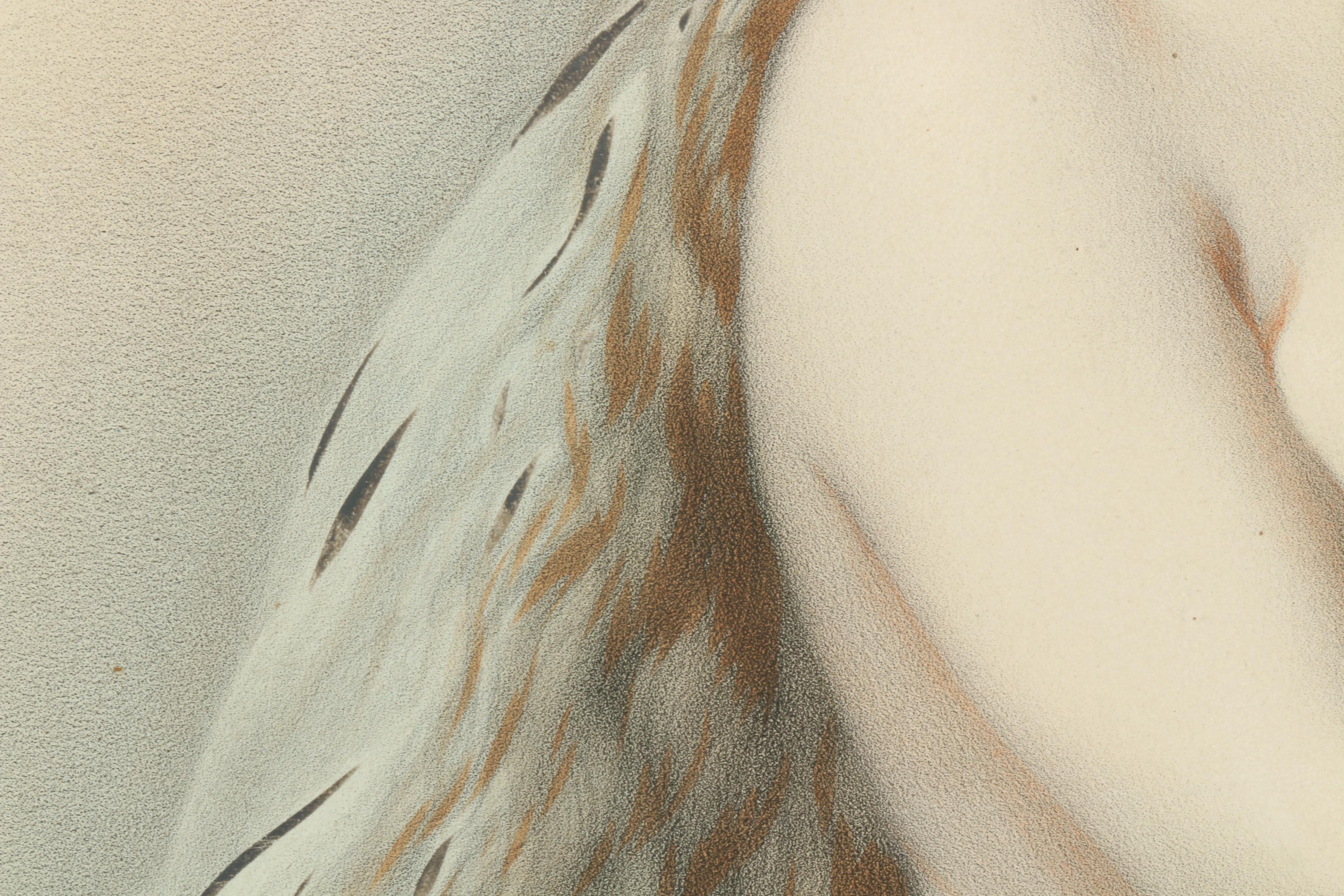 Art Nouveau Nude Hand Colored Etching