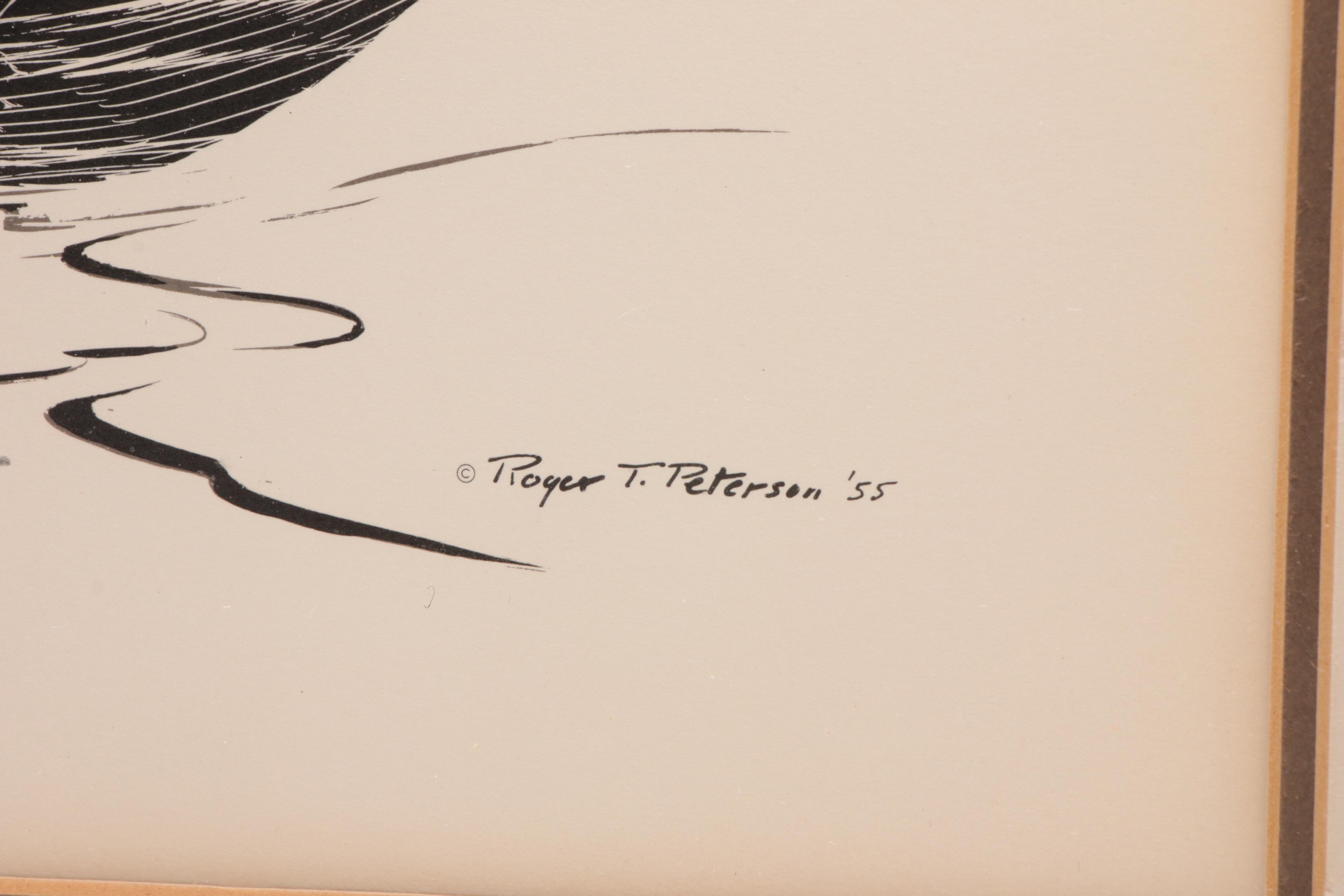 Roger Tory Peterson Limited Edition Lithograph "Sea Otters"