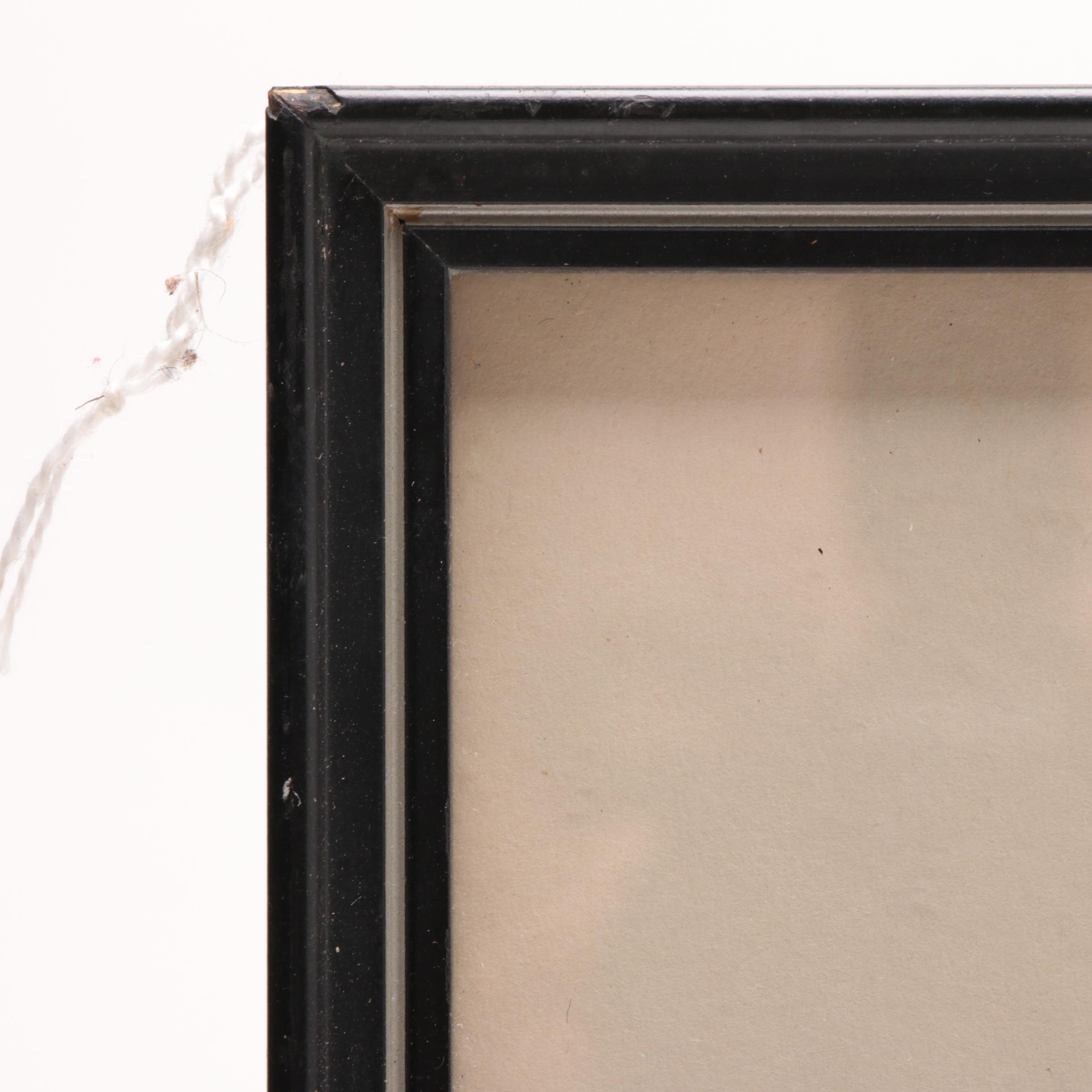 Roger Tory Peterson Limited Edition Lithograph "Sea Otters"