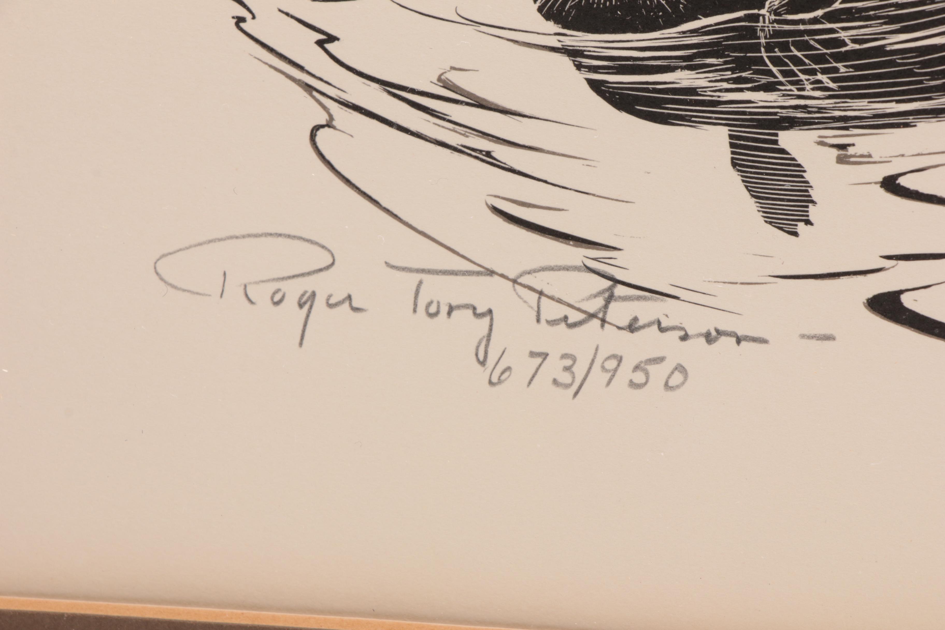 Roger Tory Peterson Limited Edition Lithograph "Sea Otters"