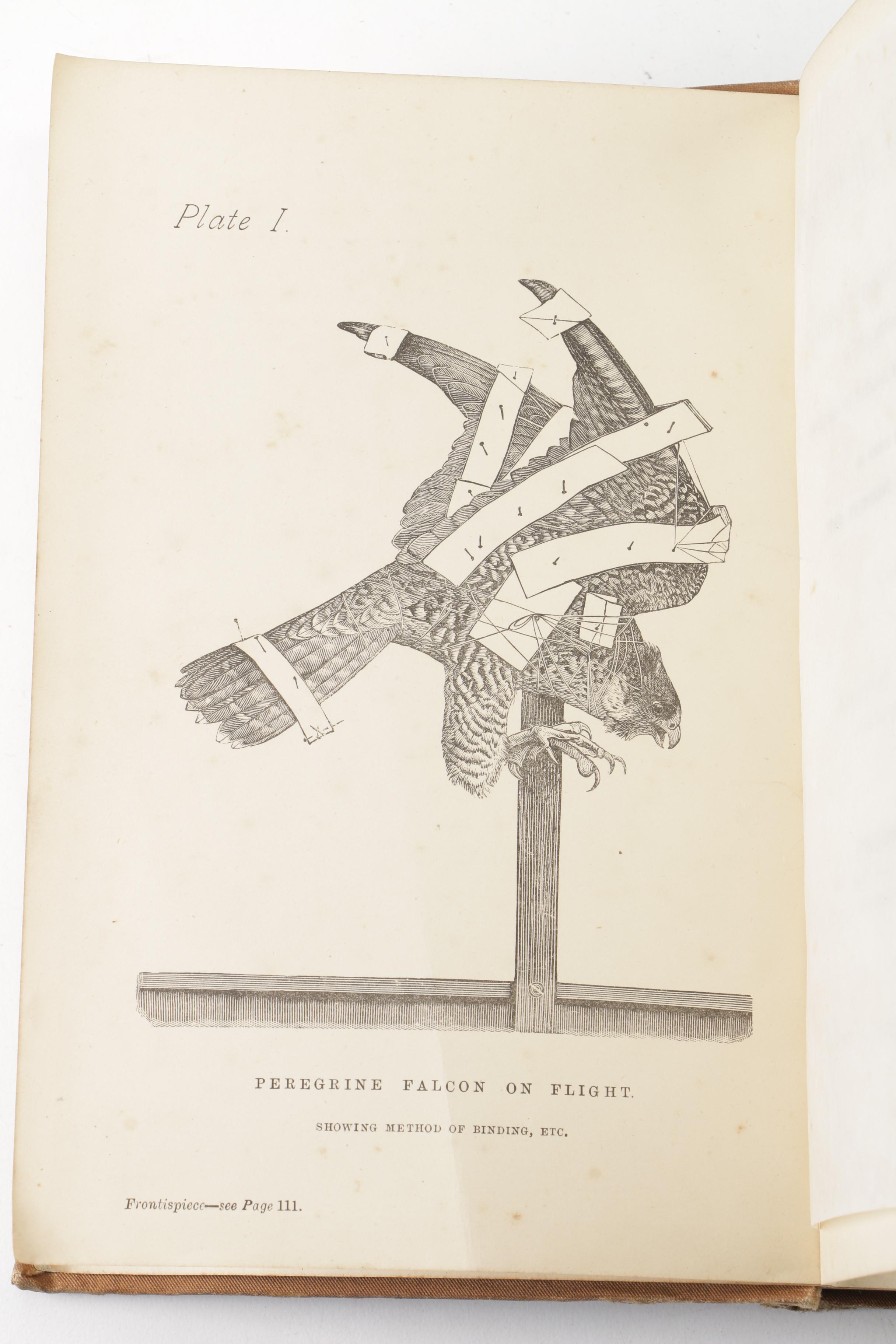 Books on Taxidermy featuring "Methods in the Art of Taxidermy" by Oliver Davie