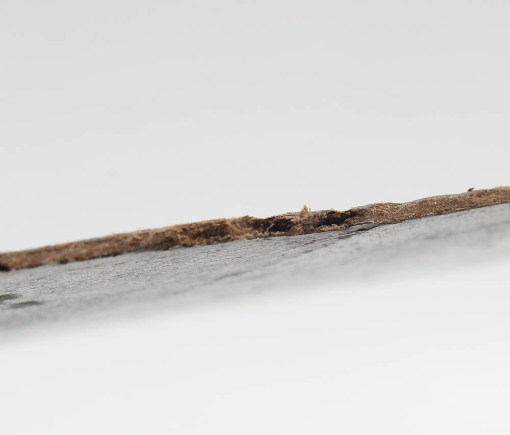 1880 Portrait Oil Painting