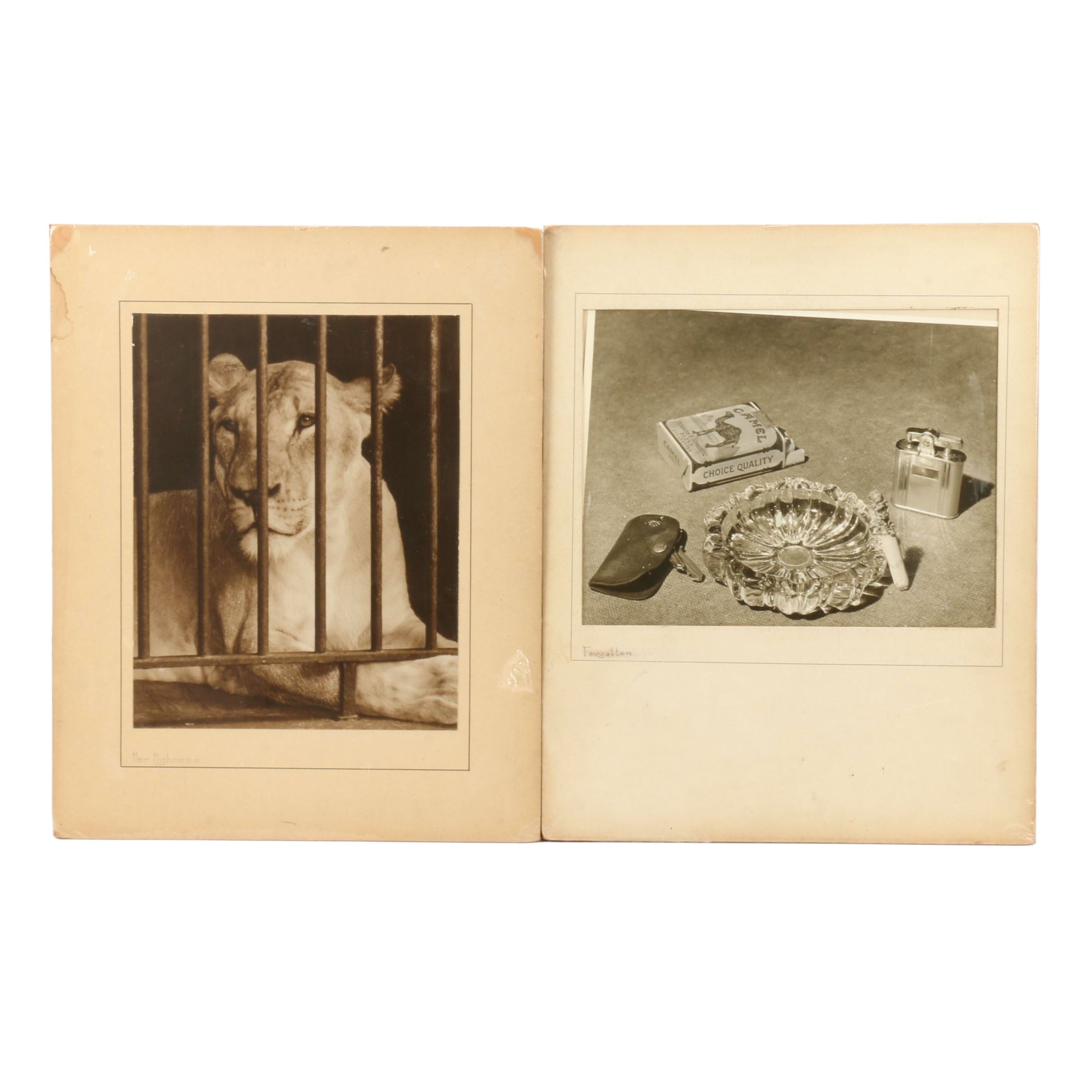Mid 20th Century Photographic Prints "Forgotten" and "Her Highness"