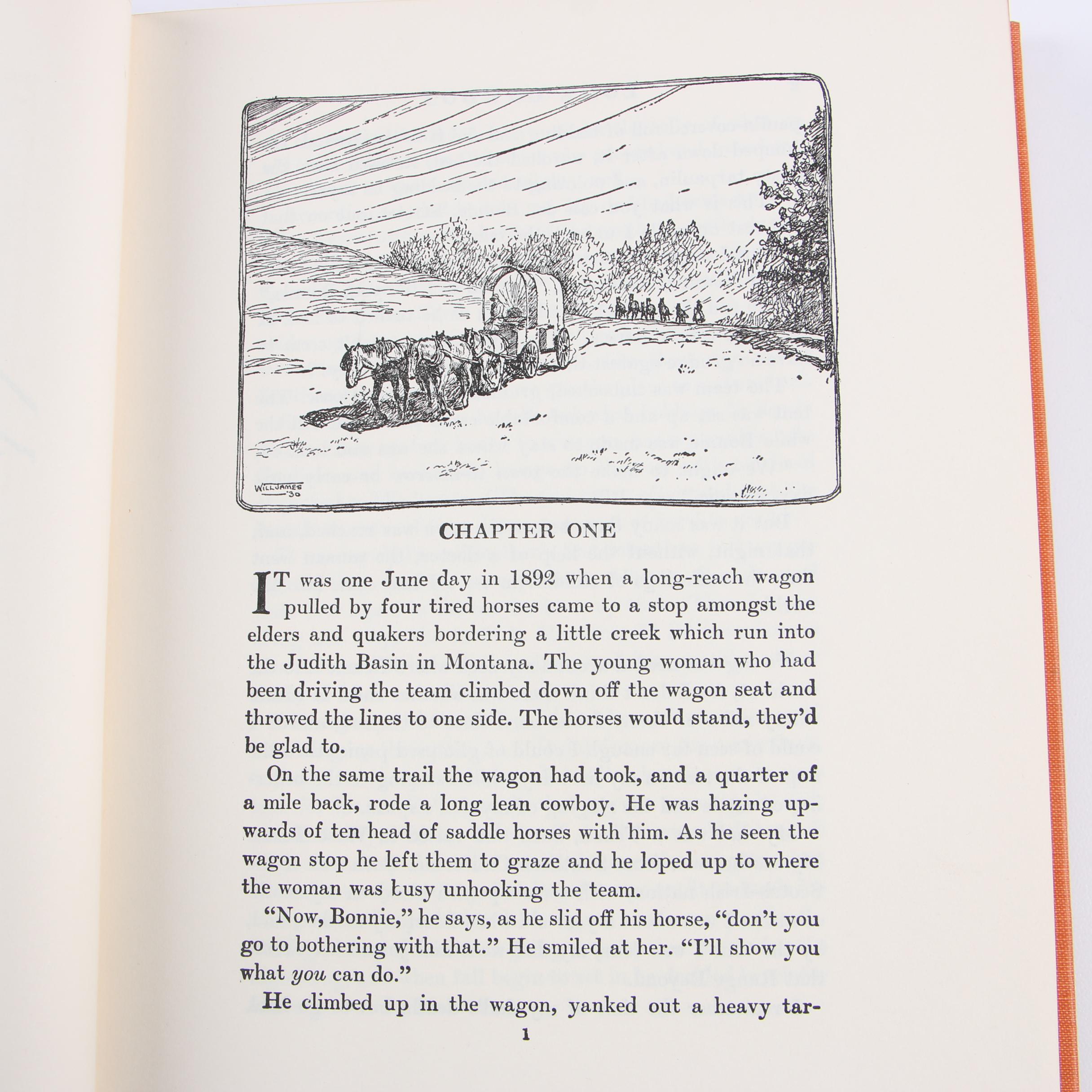 "Little Lord Fauntleroy" and Other Vintage Children's Books